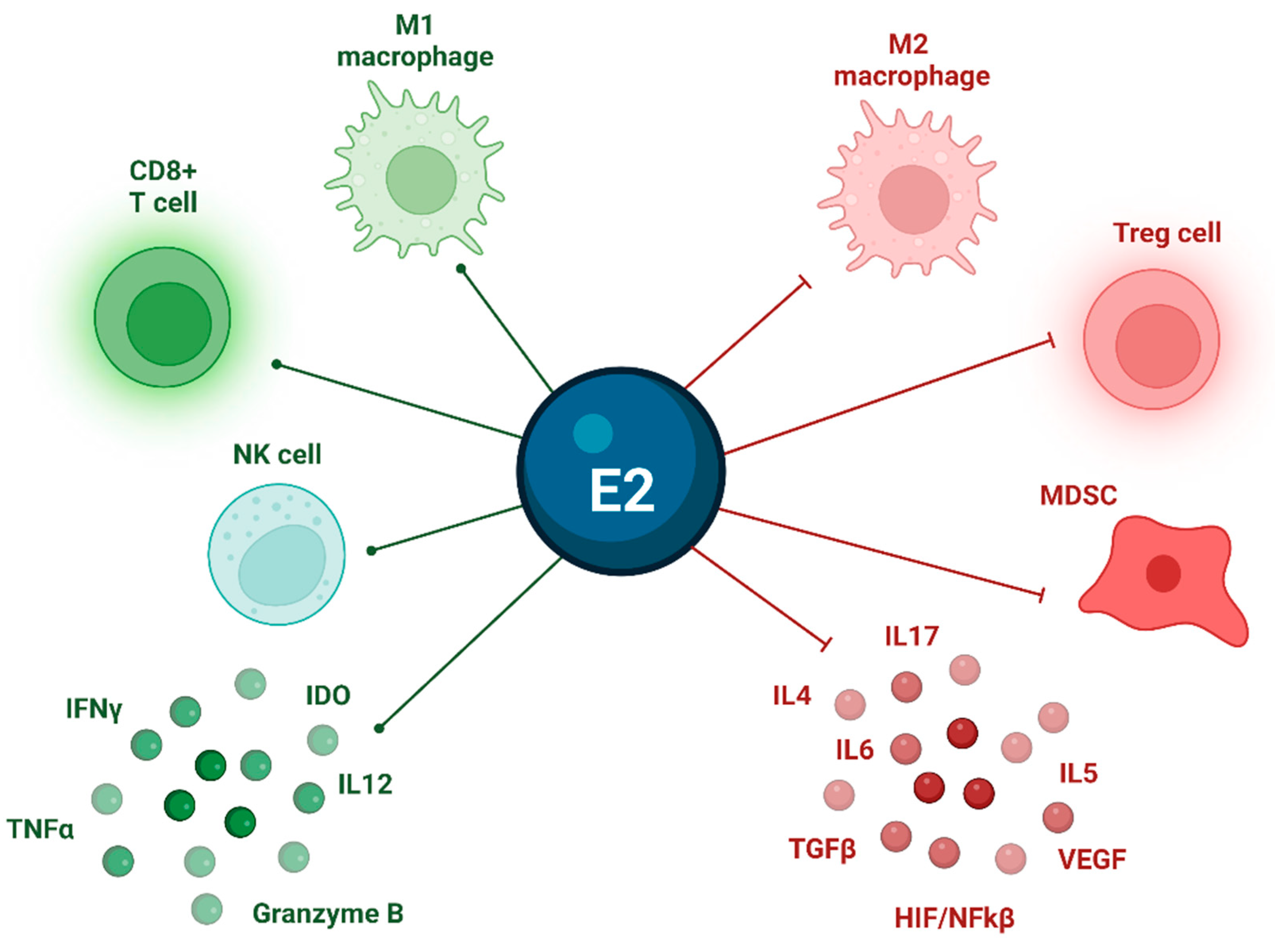 Cancers 15 02458 g003 Cancers 15 02458 g003