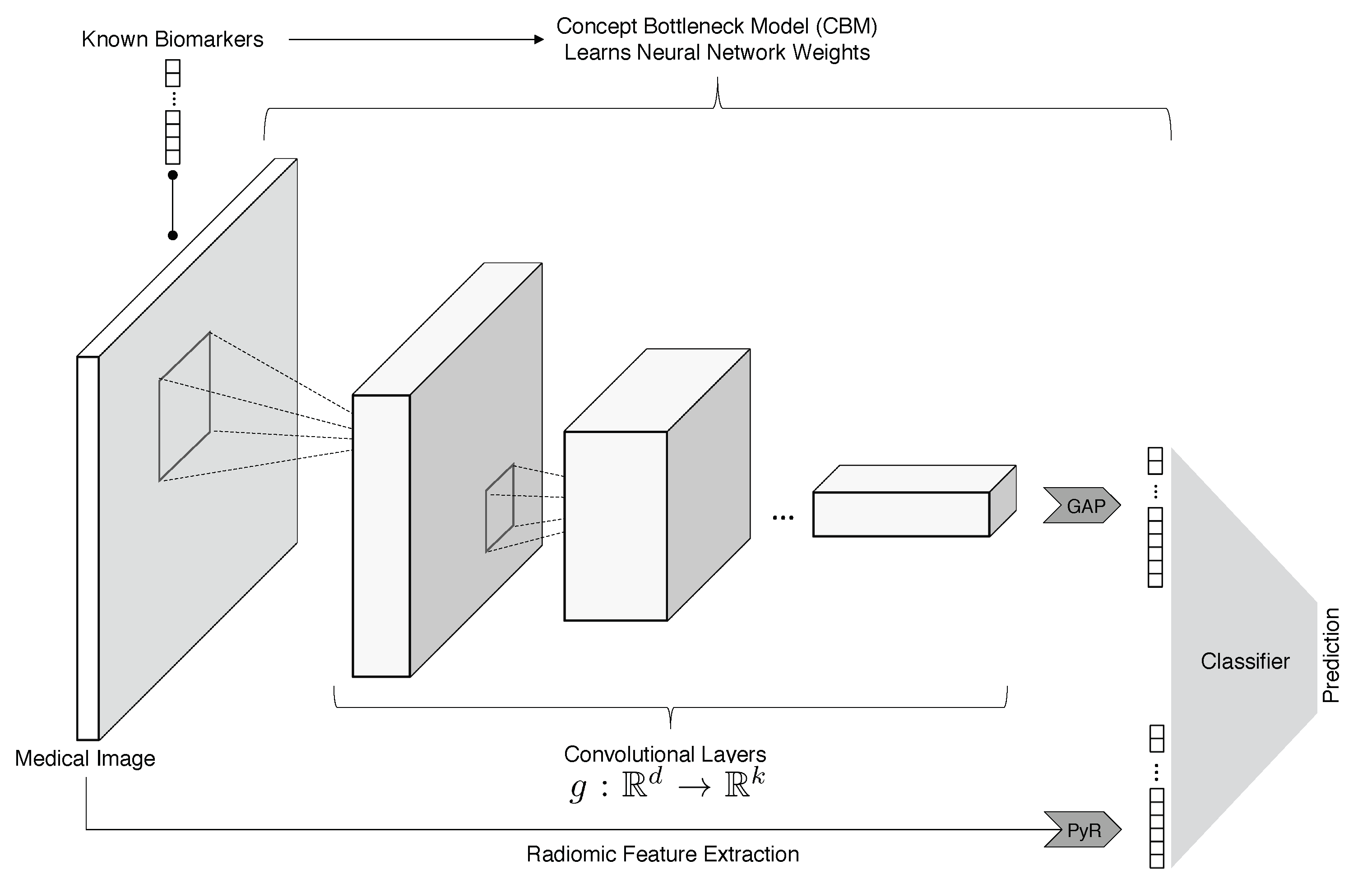 Cancers 15 02459 g001