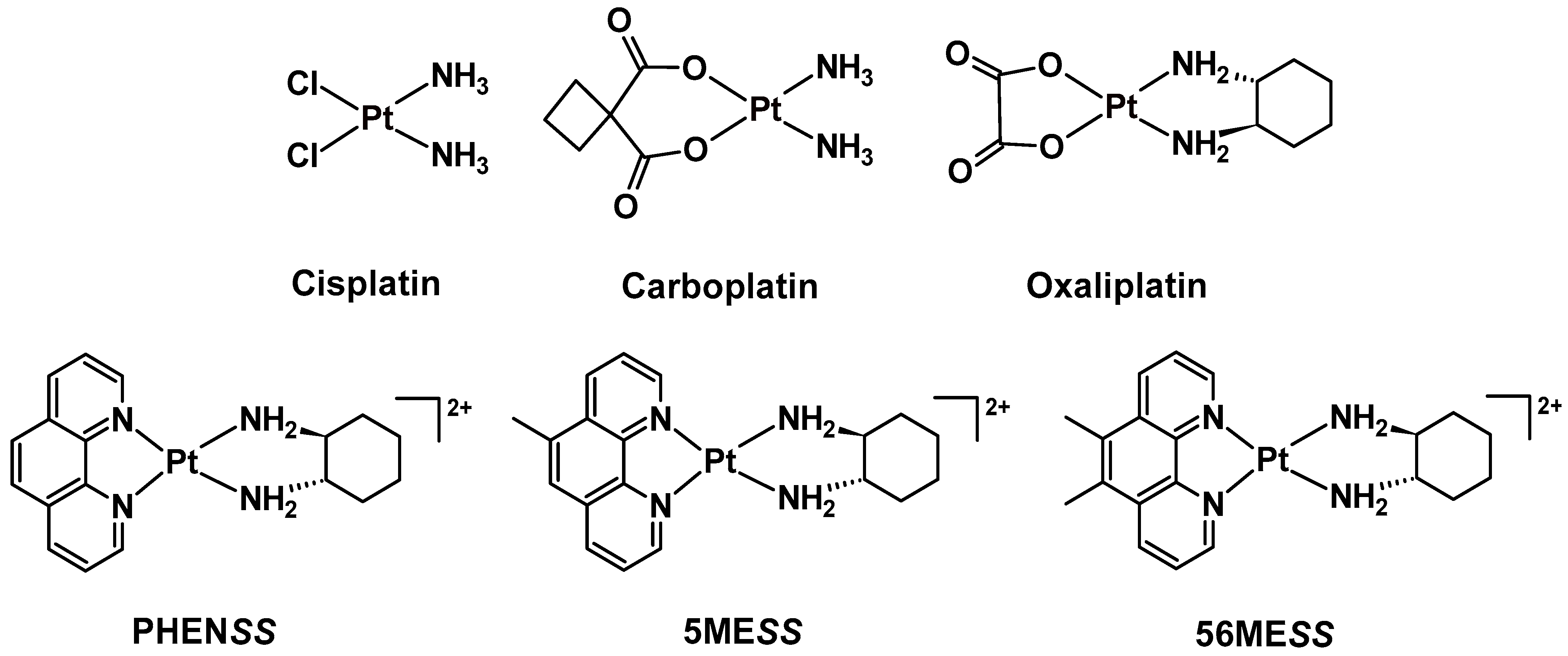 Cancers 15 02460 g001