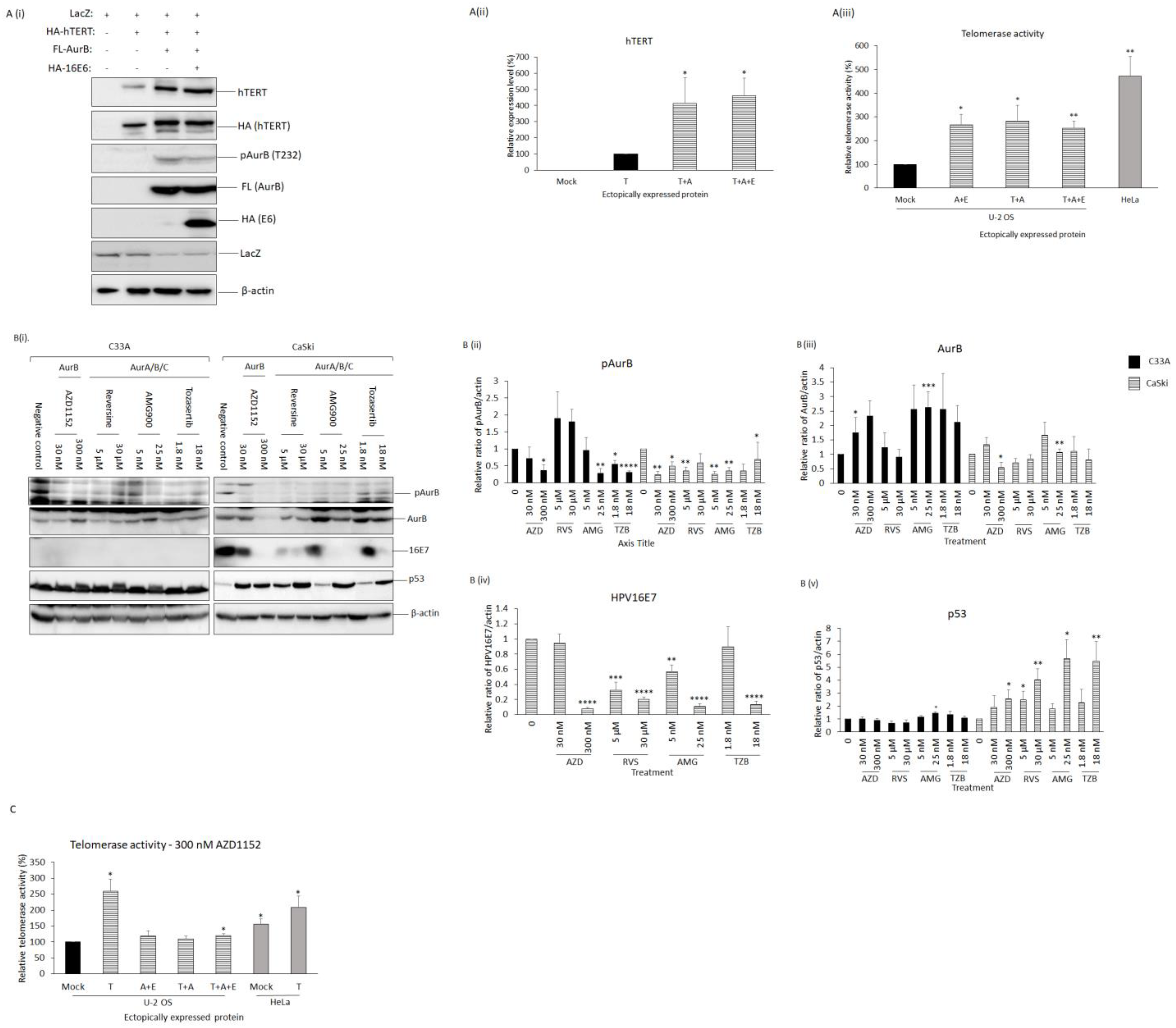 Cancers 15 02465 g003