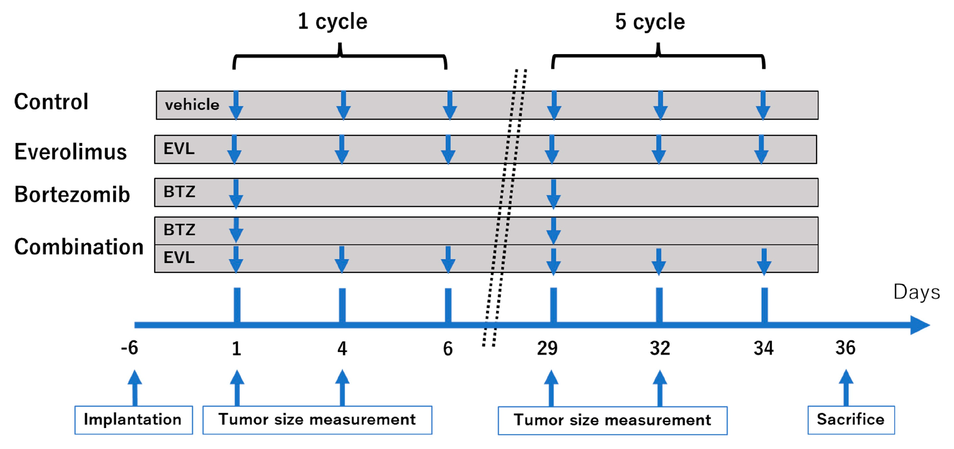 Cancers 15 02468 g001 Cancers 15 02468 g001