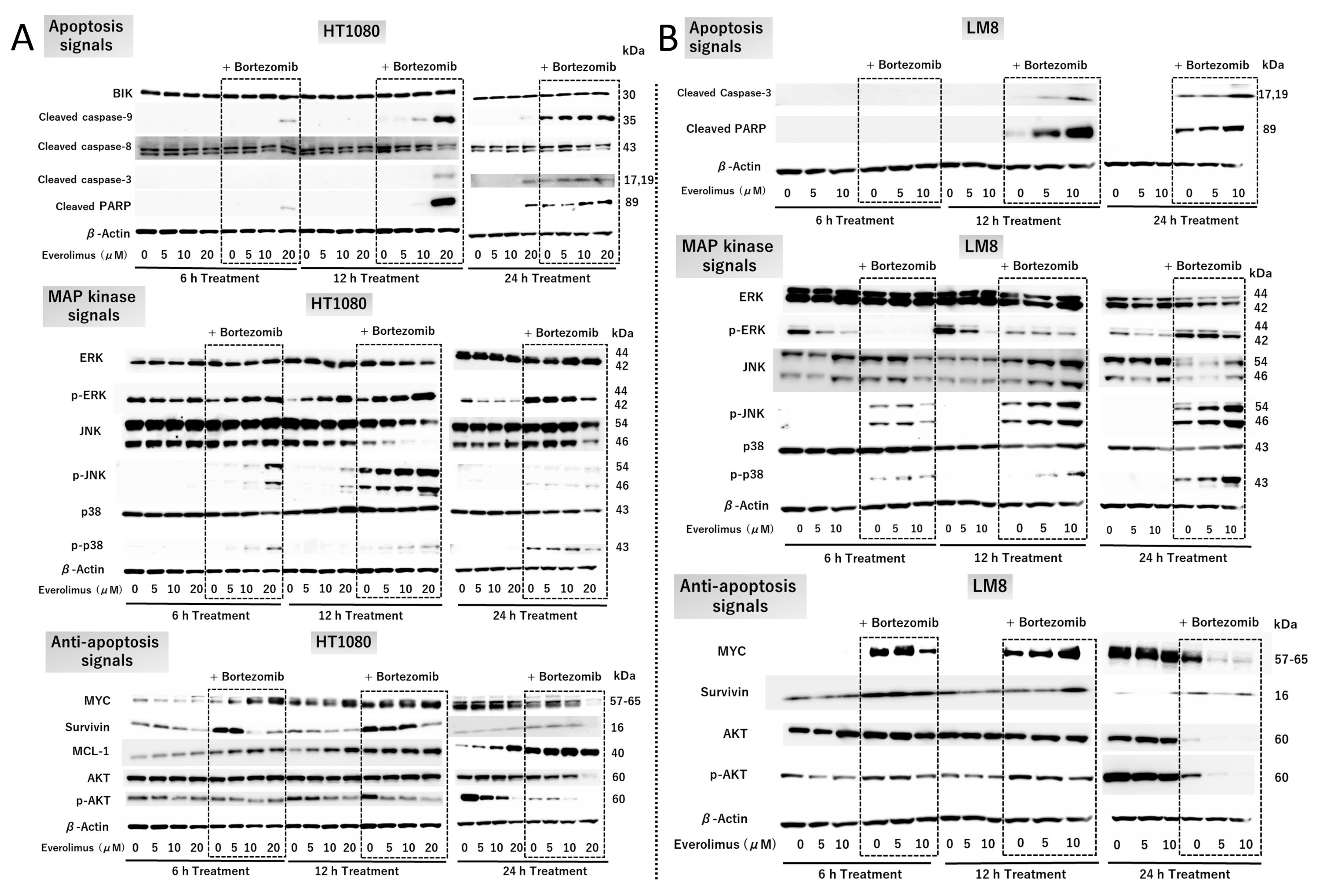 Cancers 15 02468 g003 Cancers 15 02468 g003