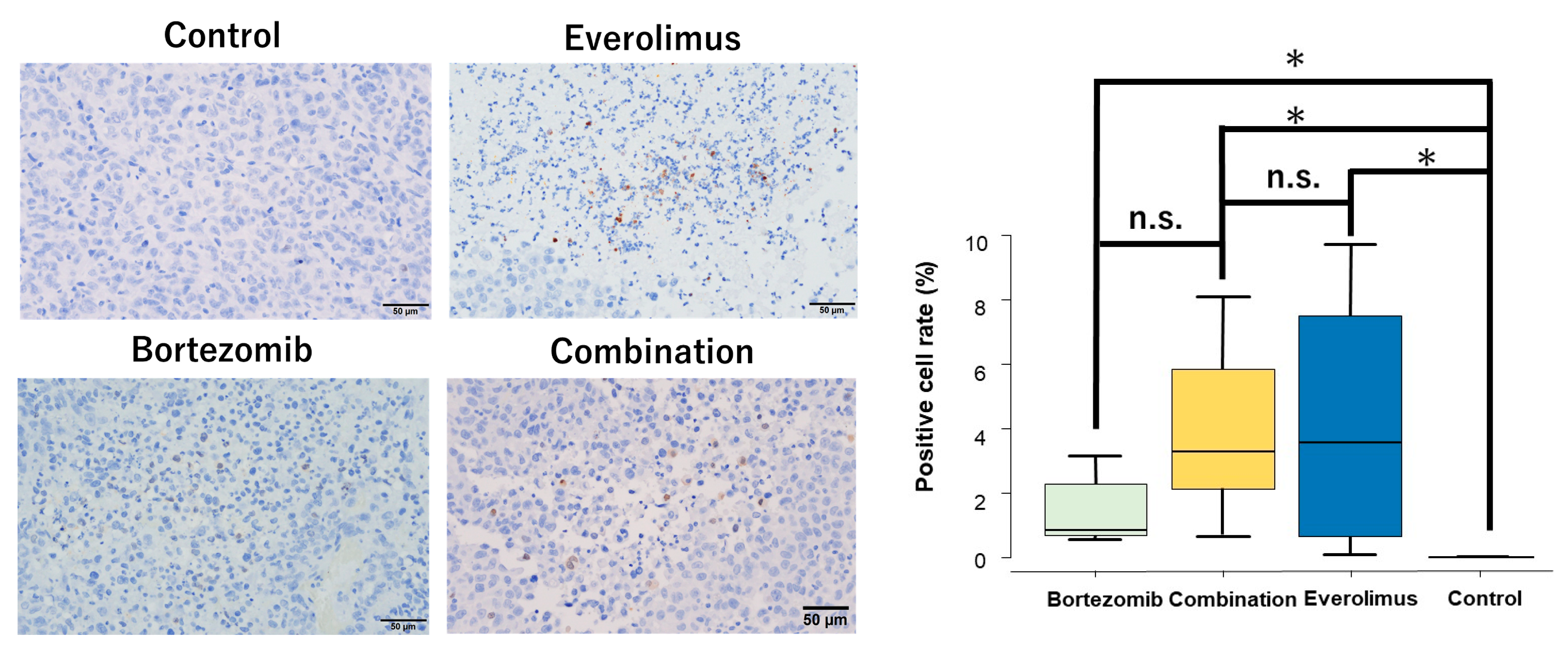 Cancers 15 02468 g005 Cancers 15 02468 g005