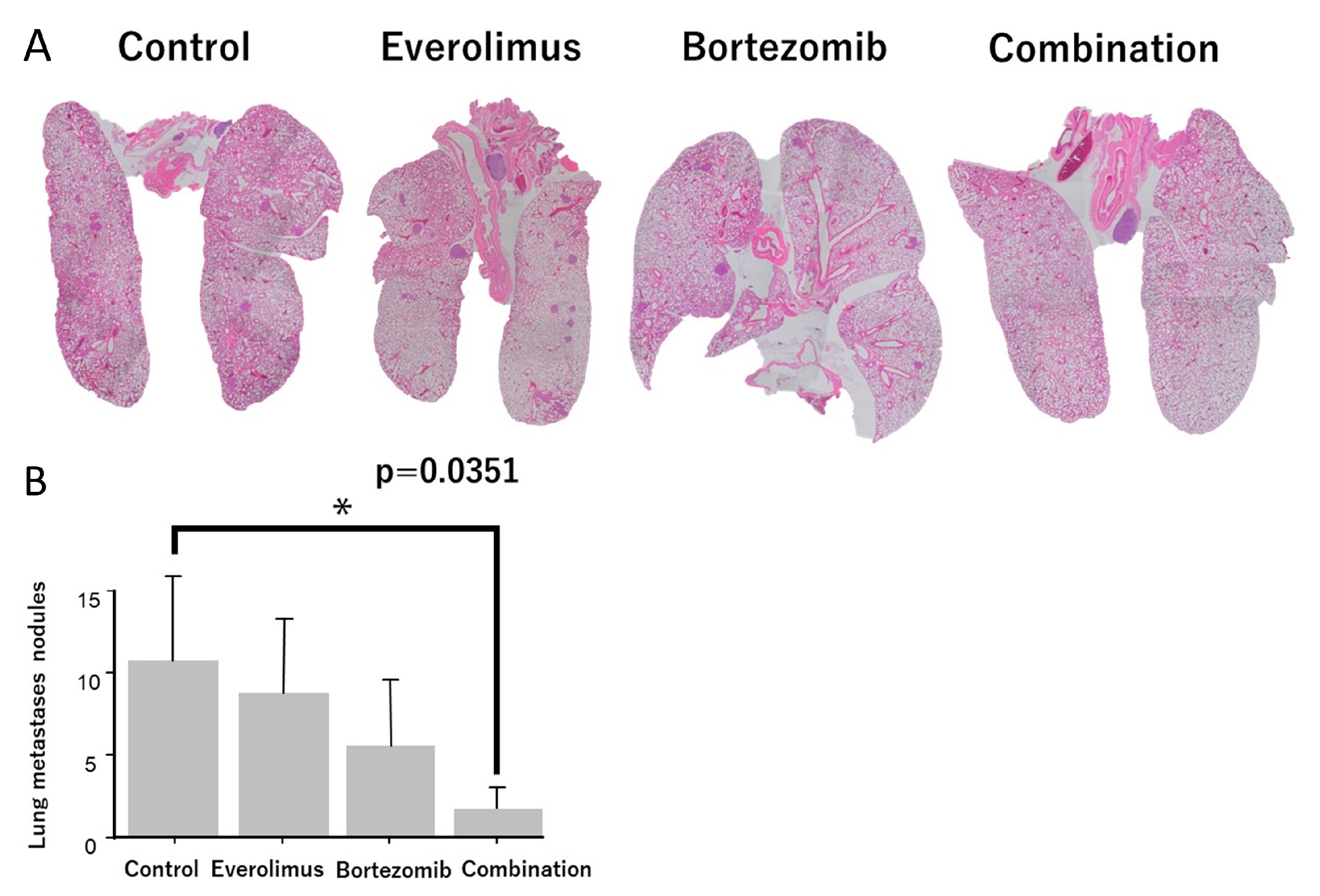 Cancers 15 02468 g006 Cancers 15 02468 g006
