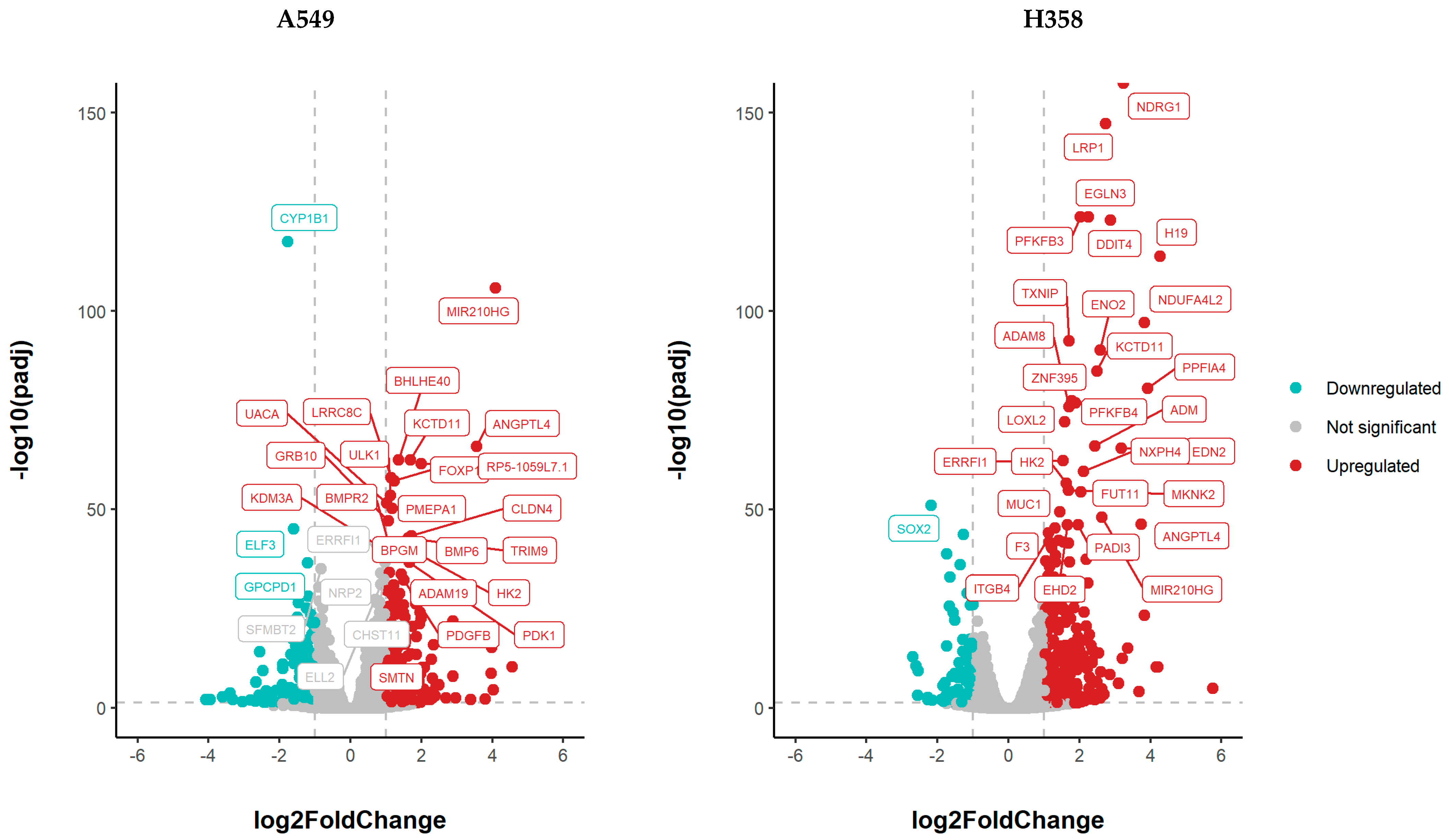 Hypoxia Changes Energy Metabolism and Growth Biology Diagrams