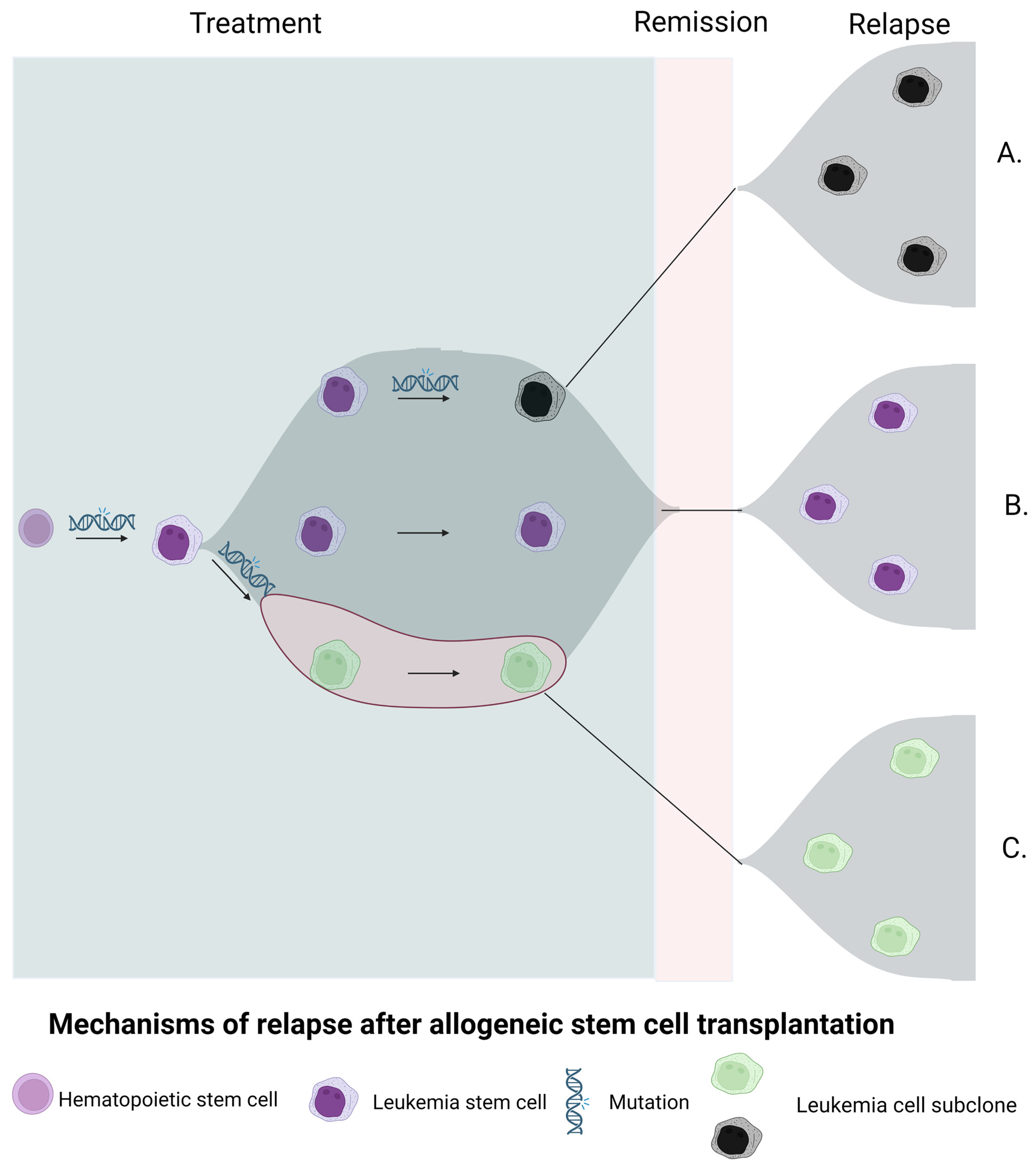 Cancers | Free Full-Text | Single-Cell Next-Generation Sequencing to  Monitor Hematopoietic Stem-Cell Transplantation: Current Applications and  Future Perspectives