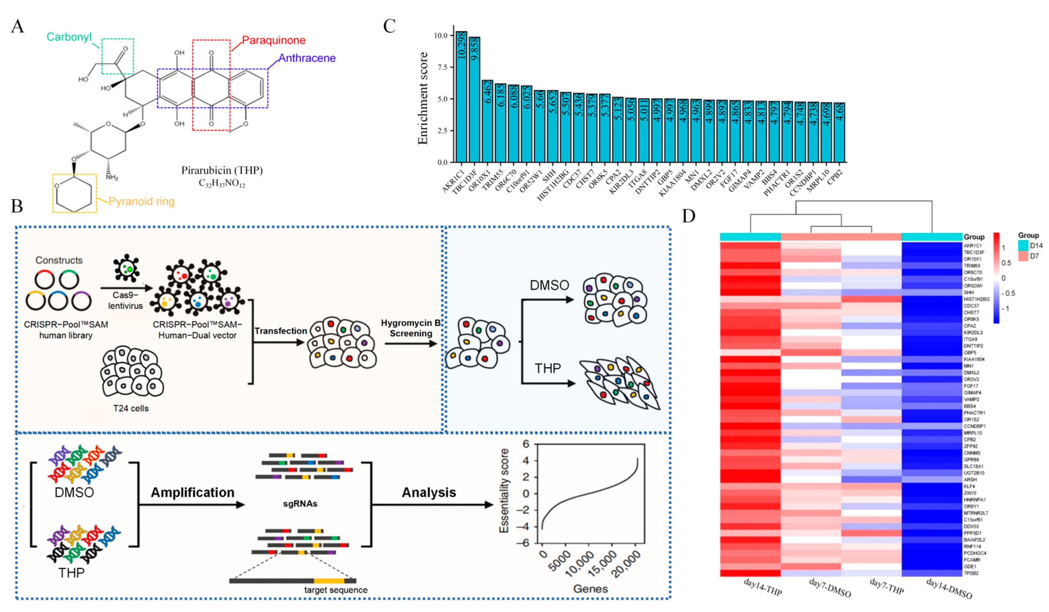 Cancers 15 02487 g001