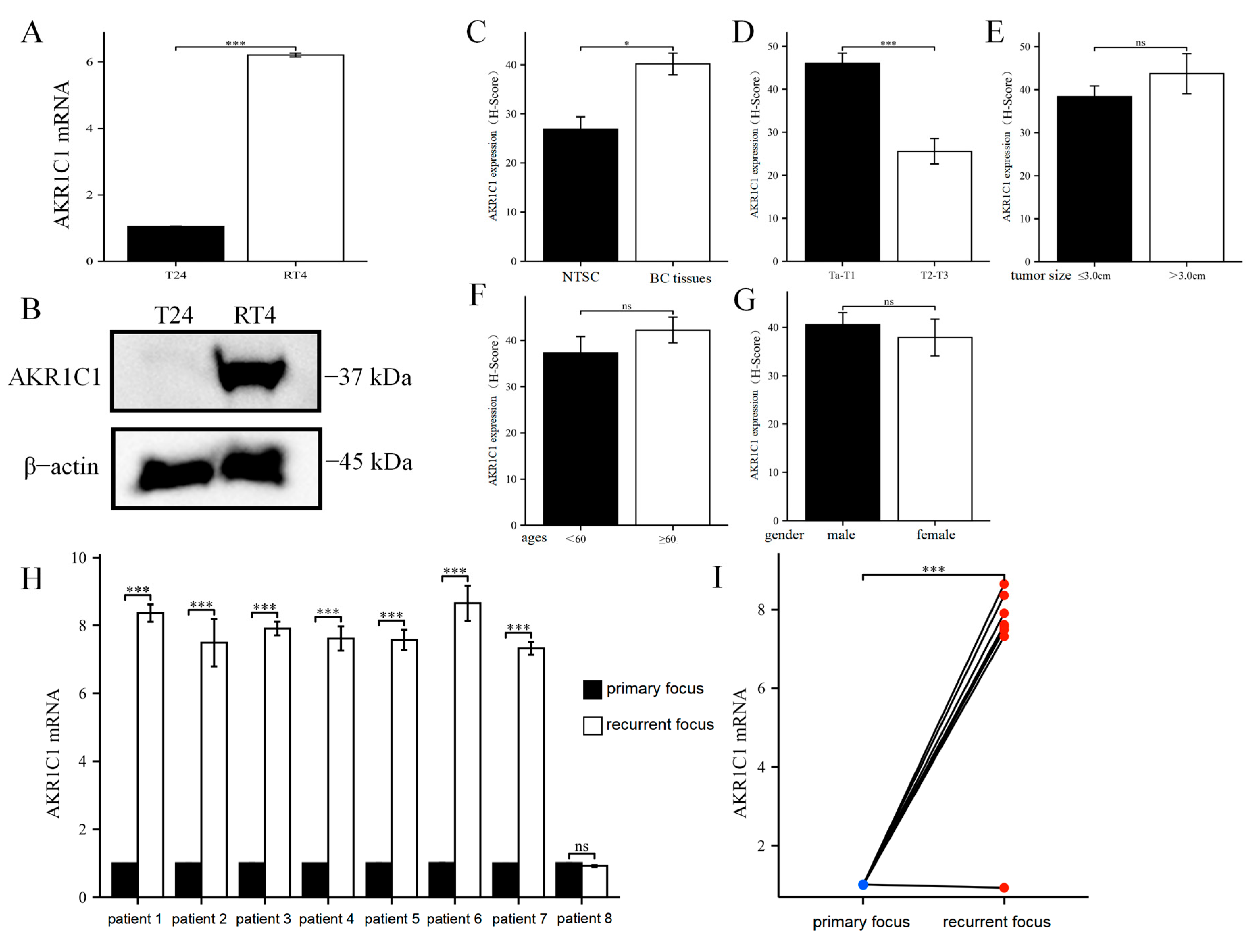 Cancers 15 02487 g002