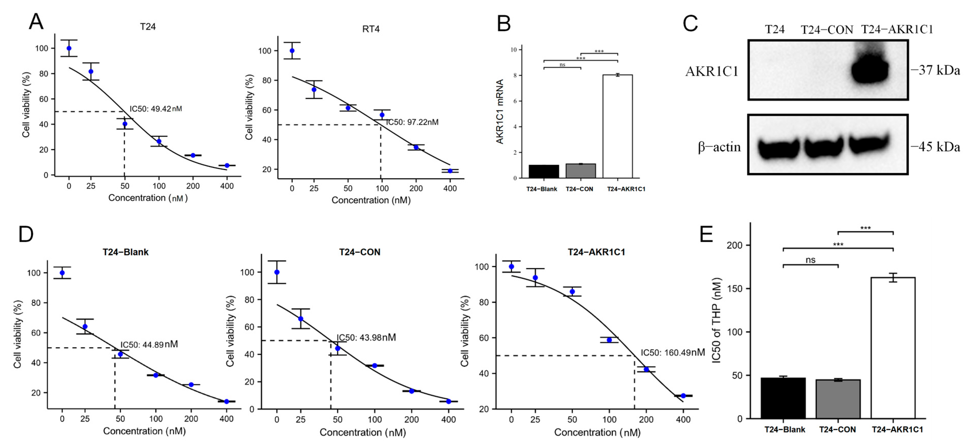 Cancers 15 02487 g003