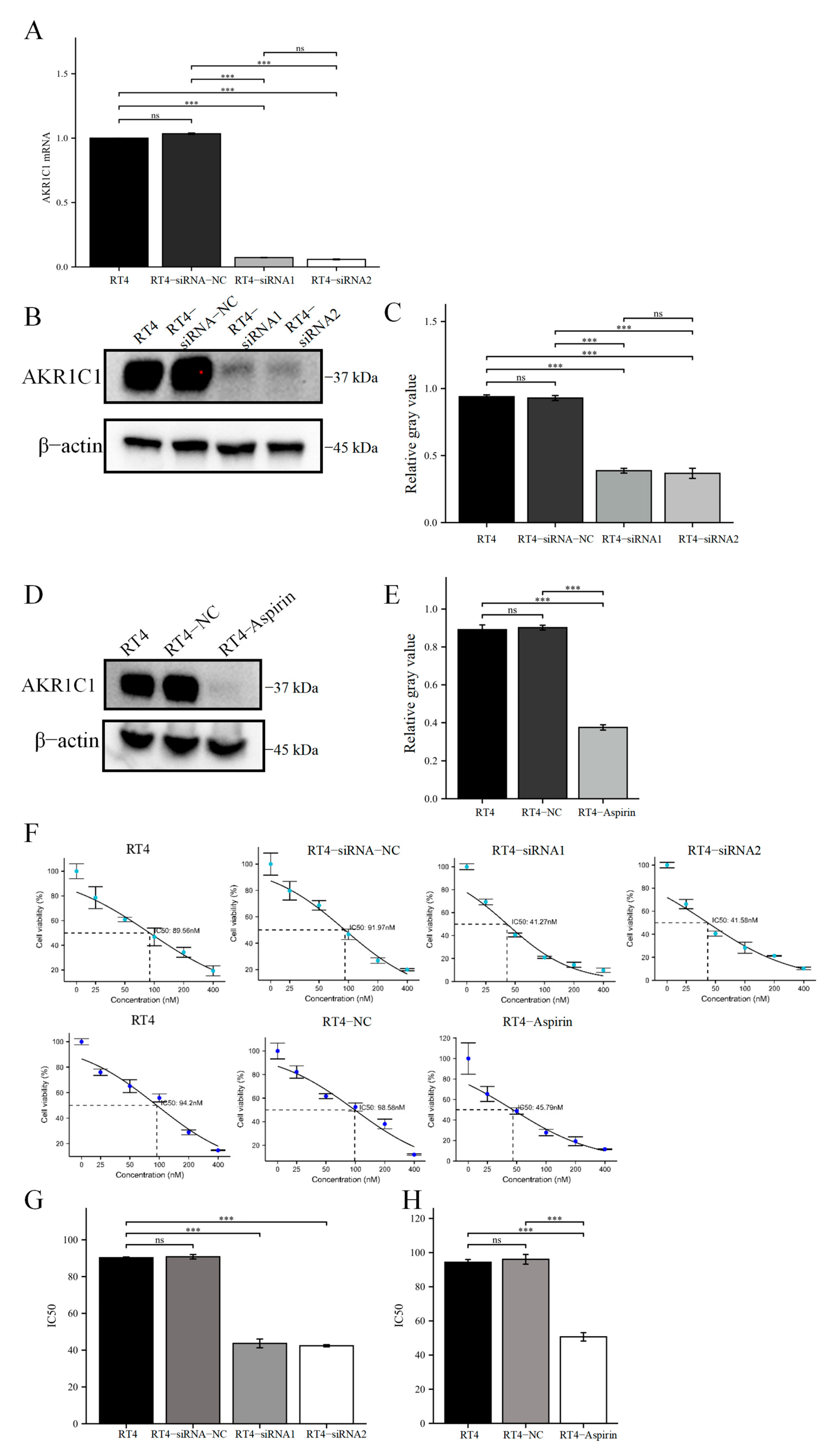 Cancers 15 02487 g004