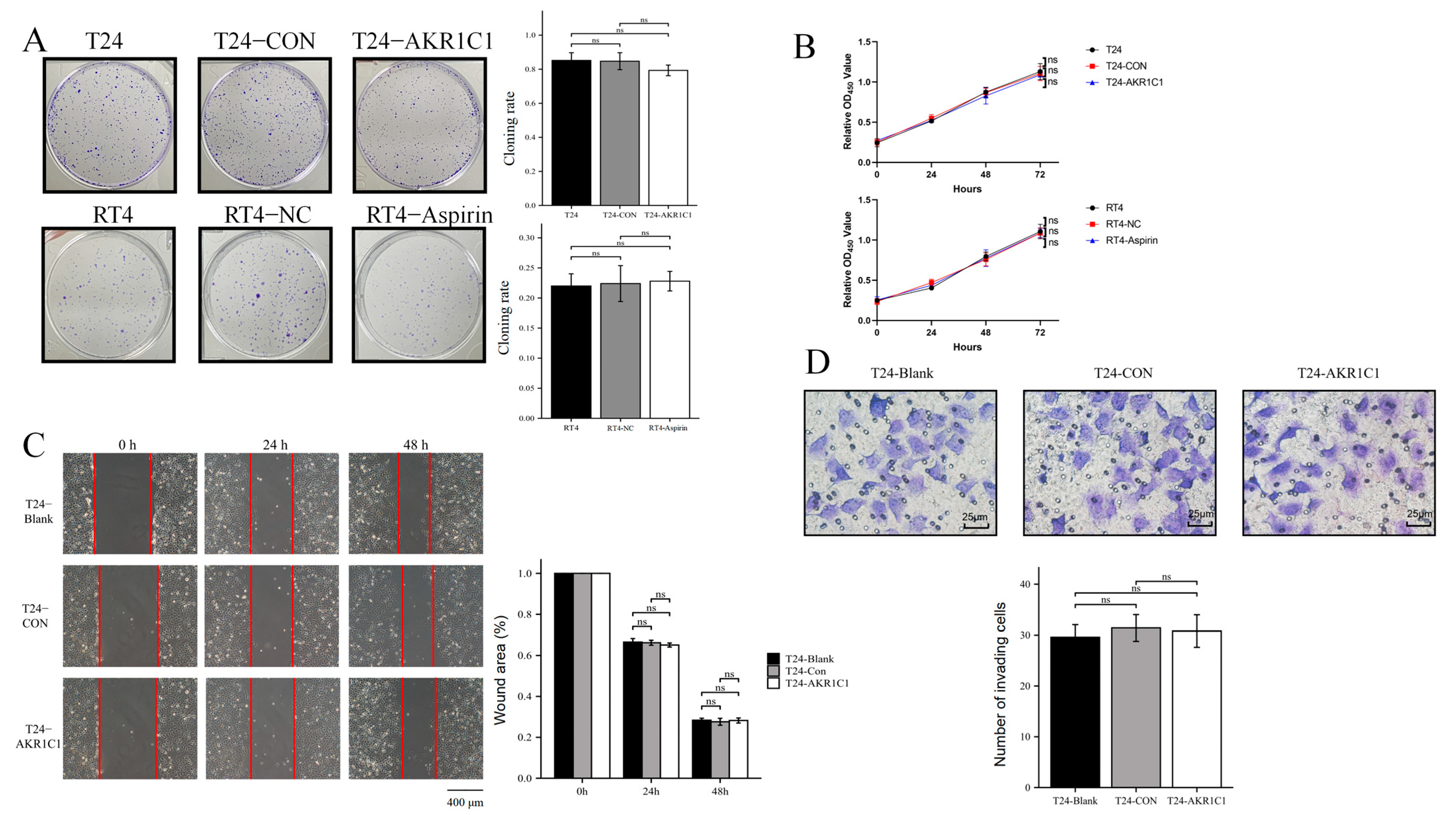 Cancers 15 02487 g005