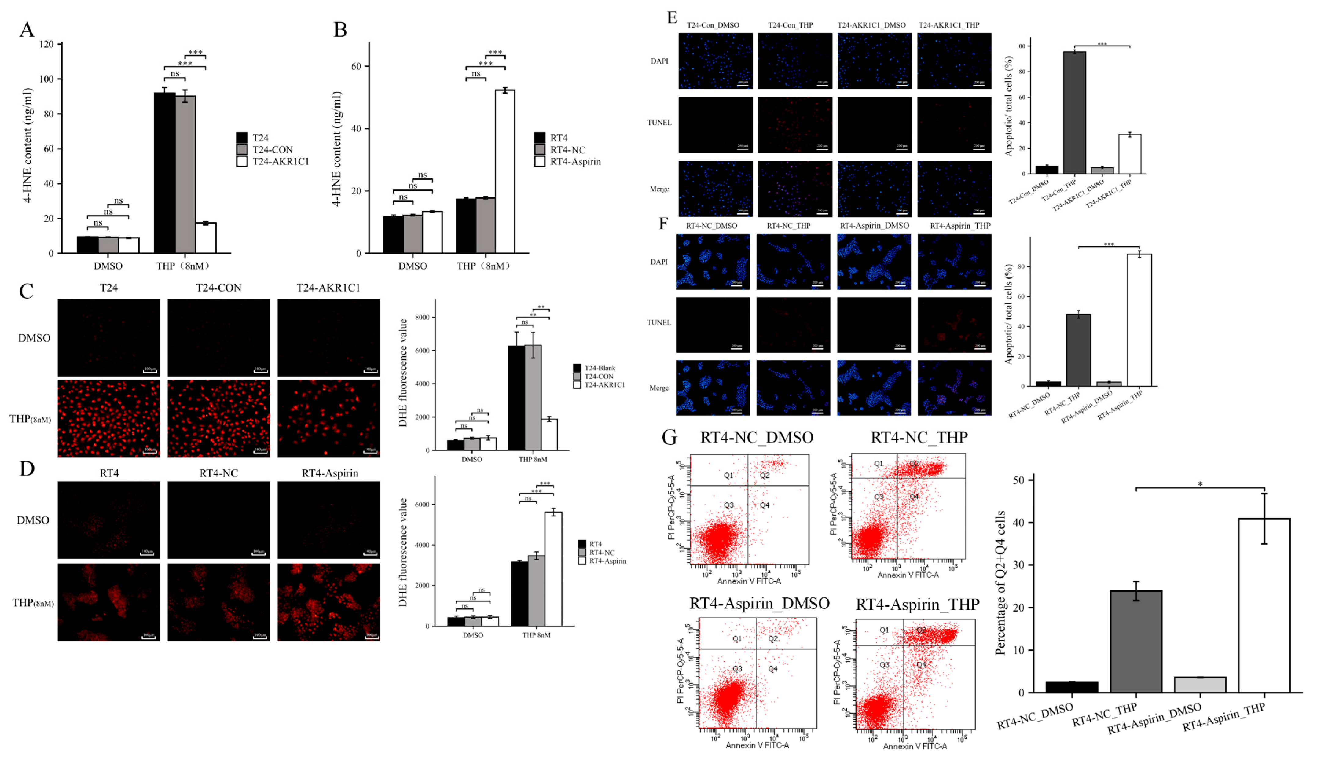 Cancers 15 02487 g006