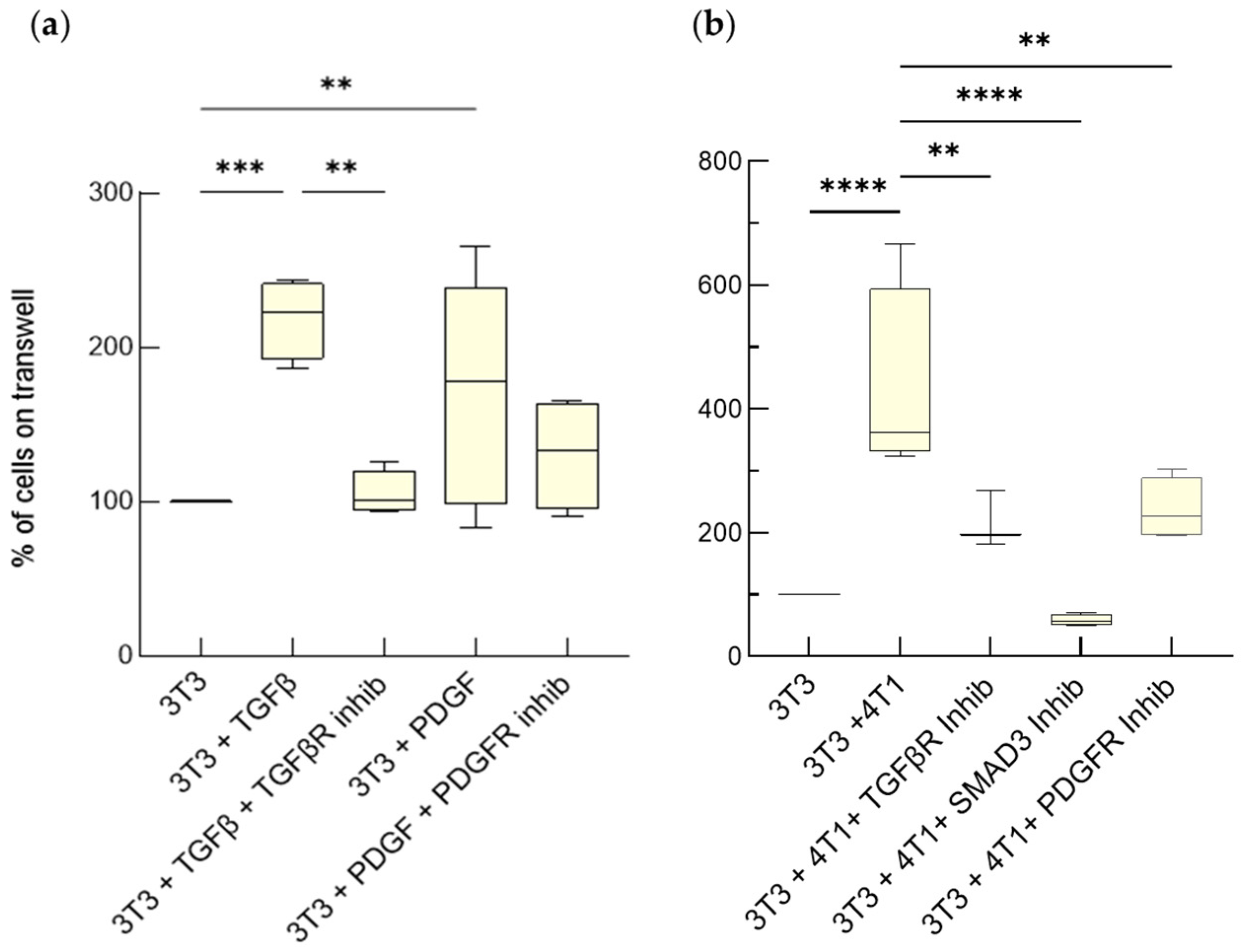 Cancers 15 02498 g001