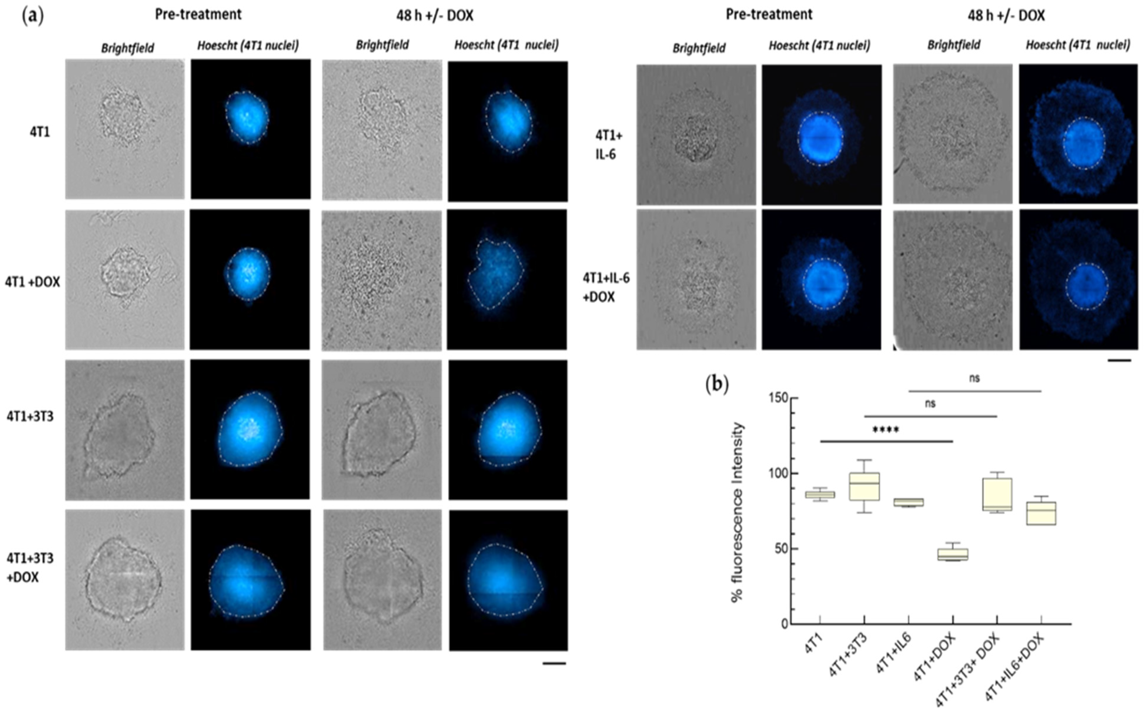 Cancers 15 02498 g006