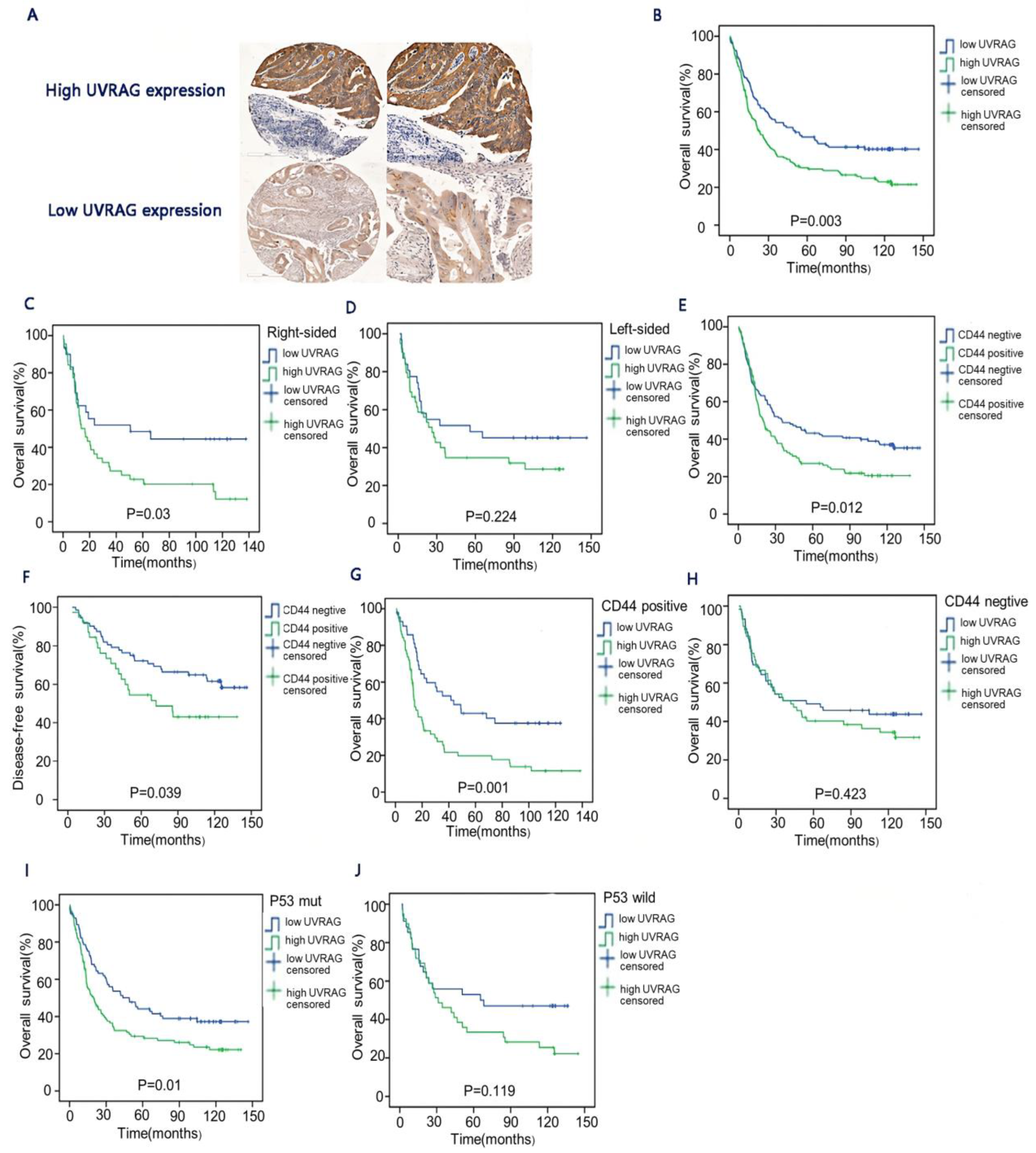 Cancers 15 02502 g001 Cancers 15 02502 g001