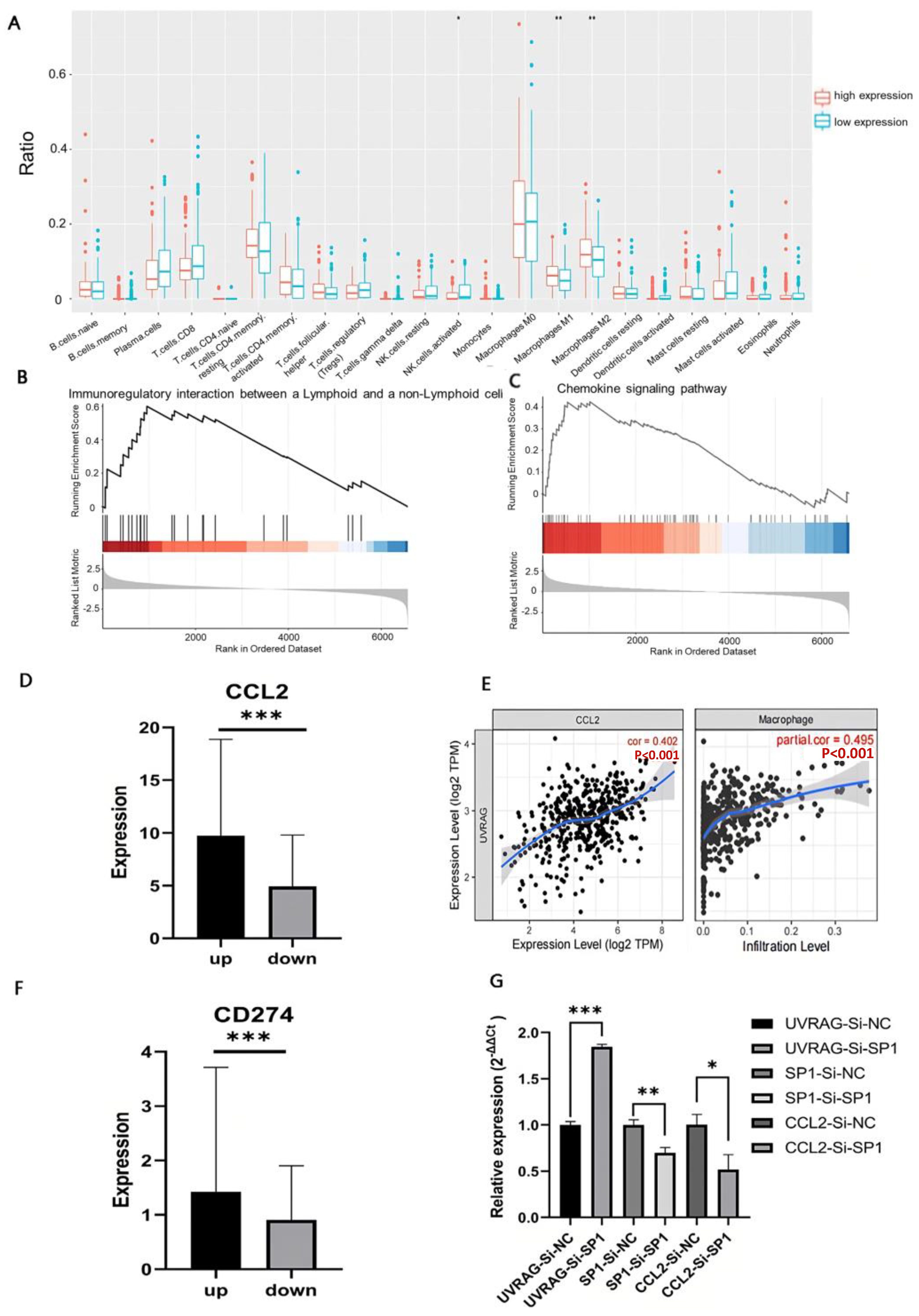 Cancers 15 02502 g004 Cancers 15 02502 g004