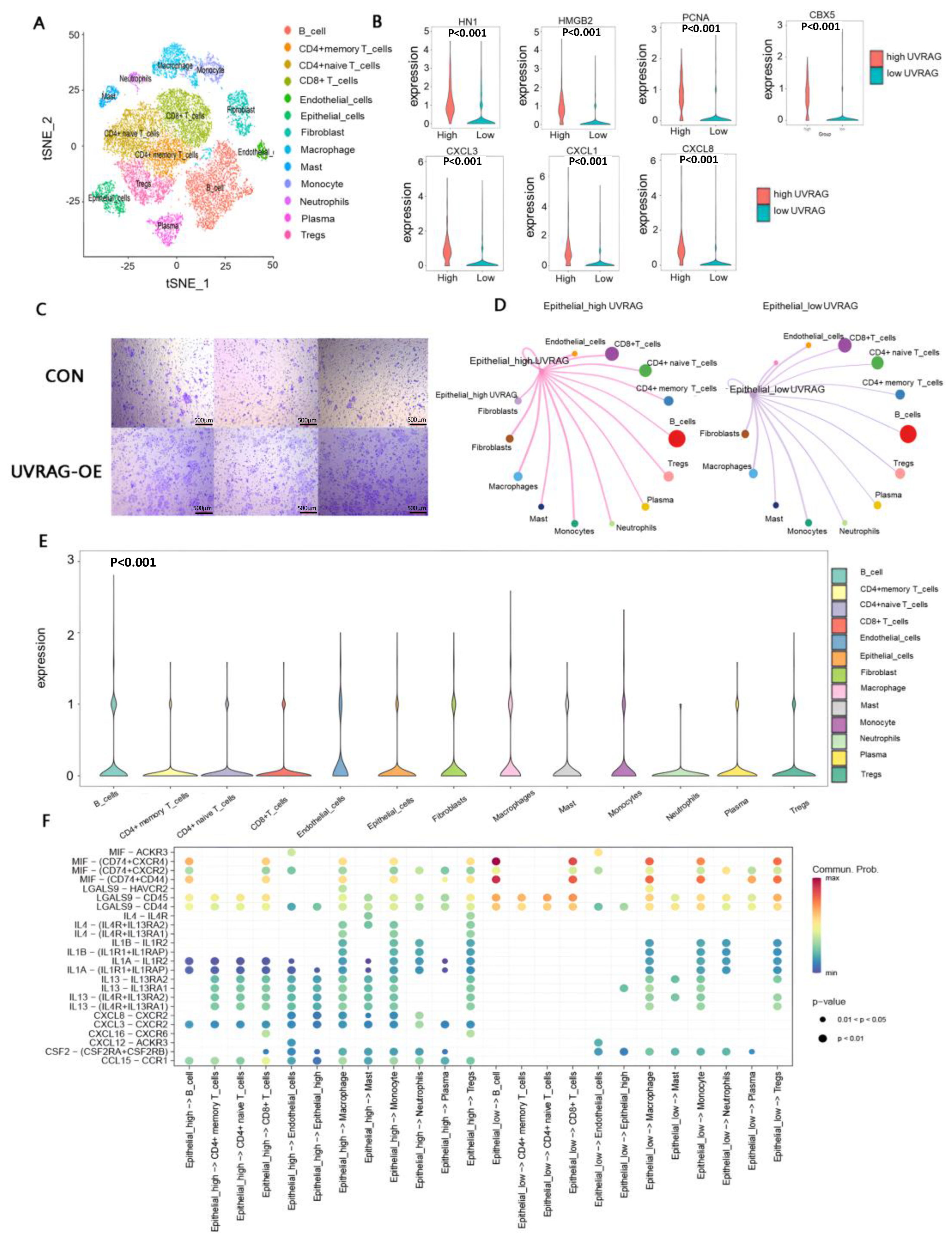 Cancers 15 02502 g005 Cancers 15 02502 g005