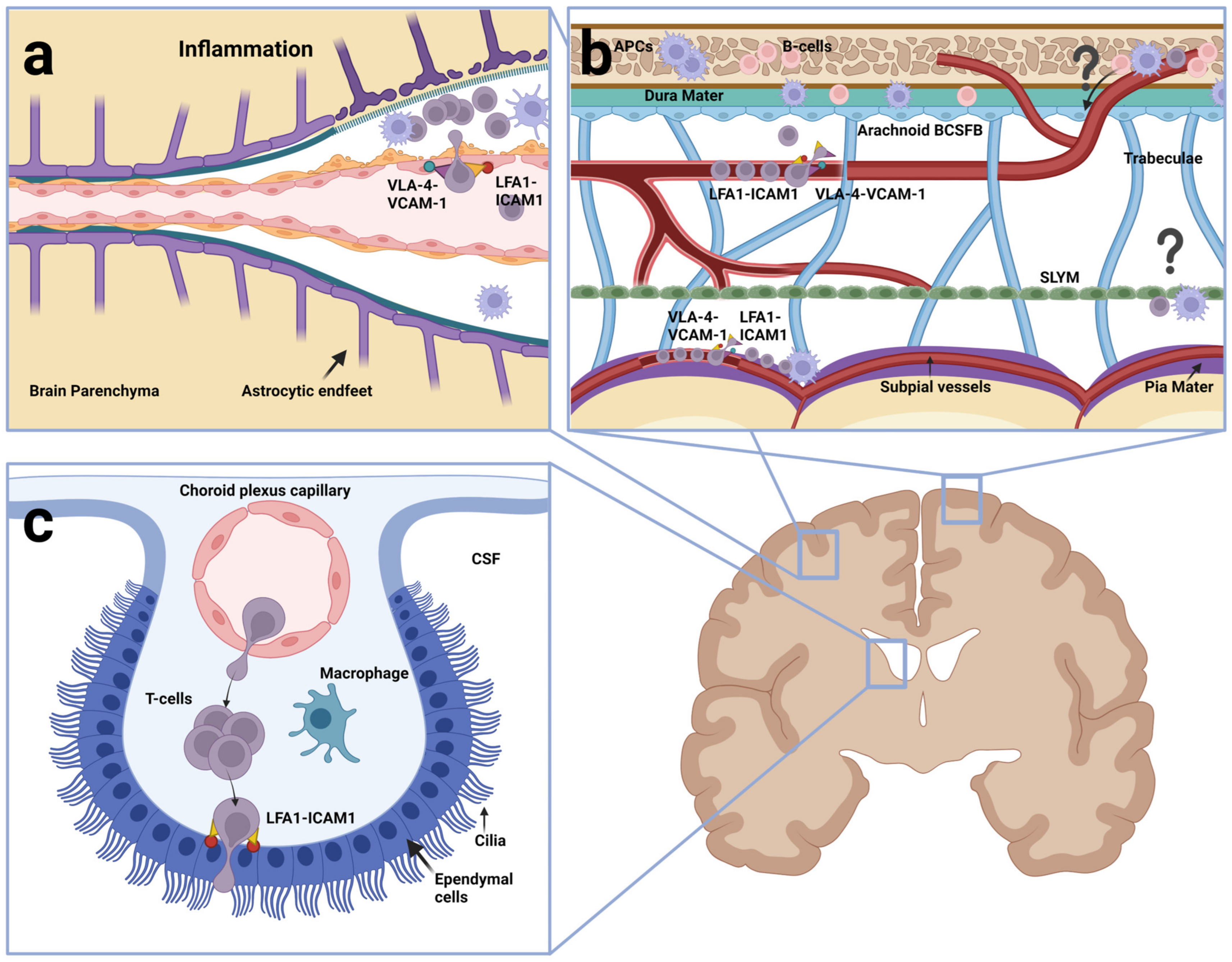 Cancers 15 02504 g003