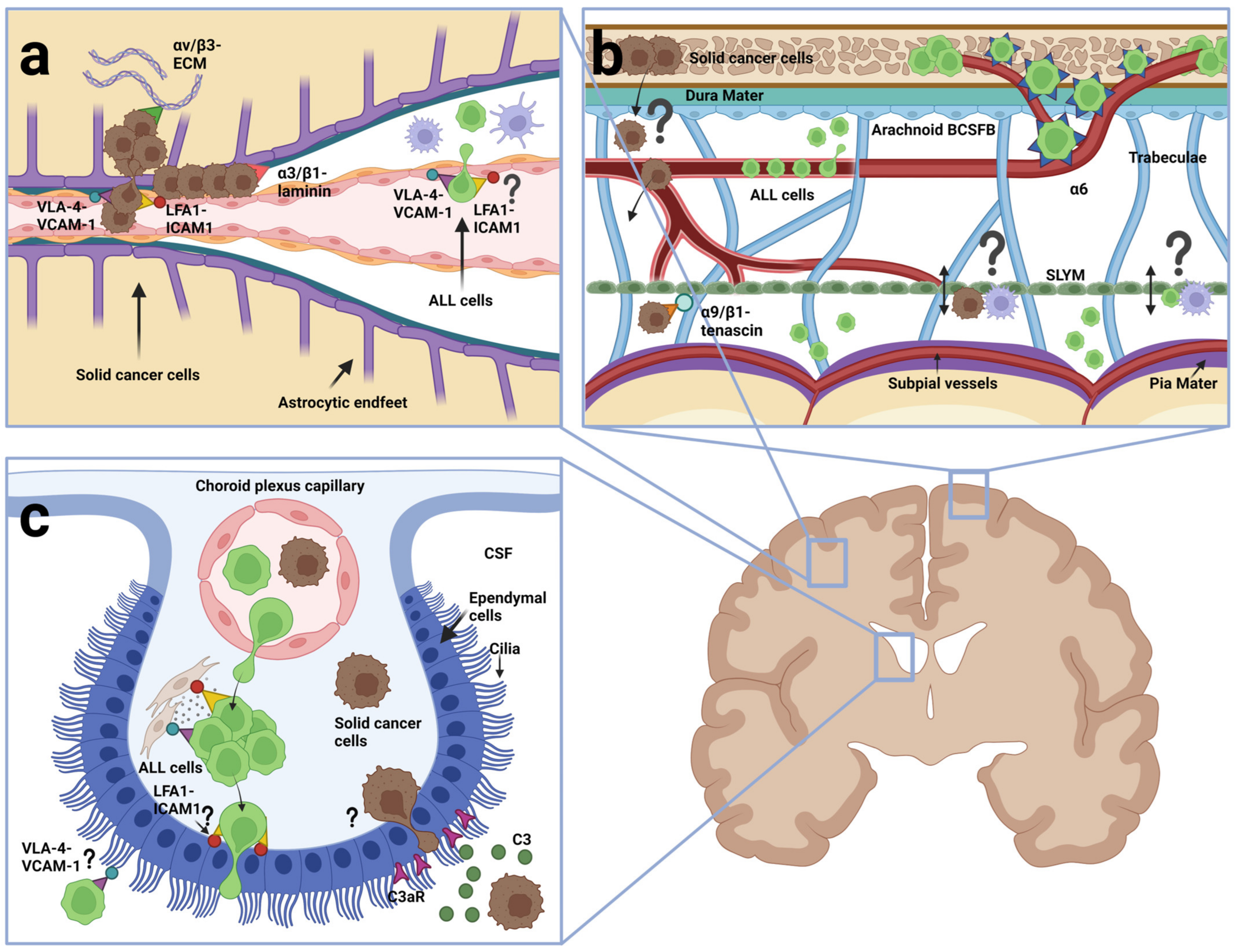 Cancers 15 02504 g004