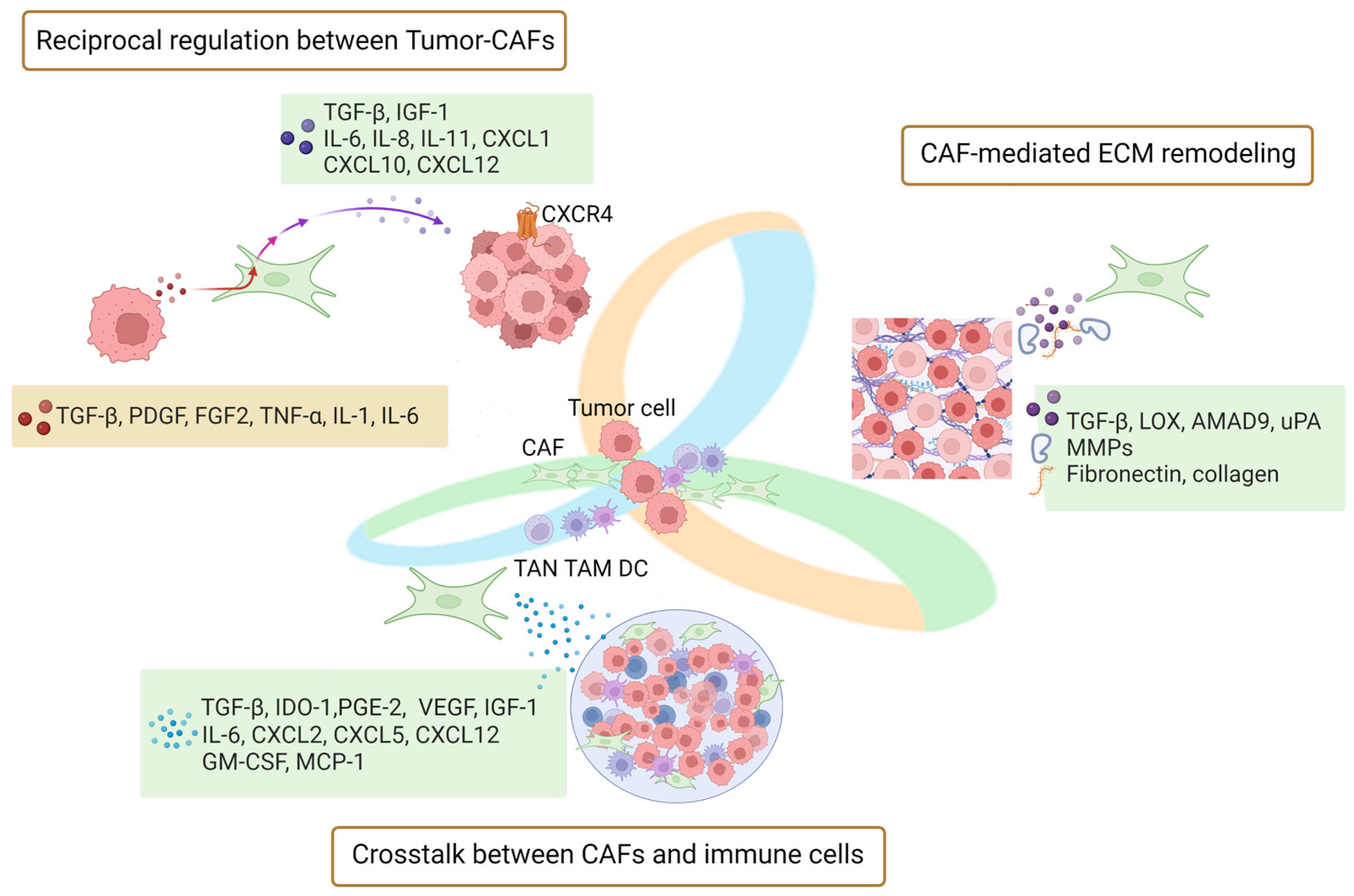 Cancers 15 02513 g001