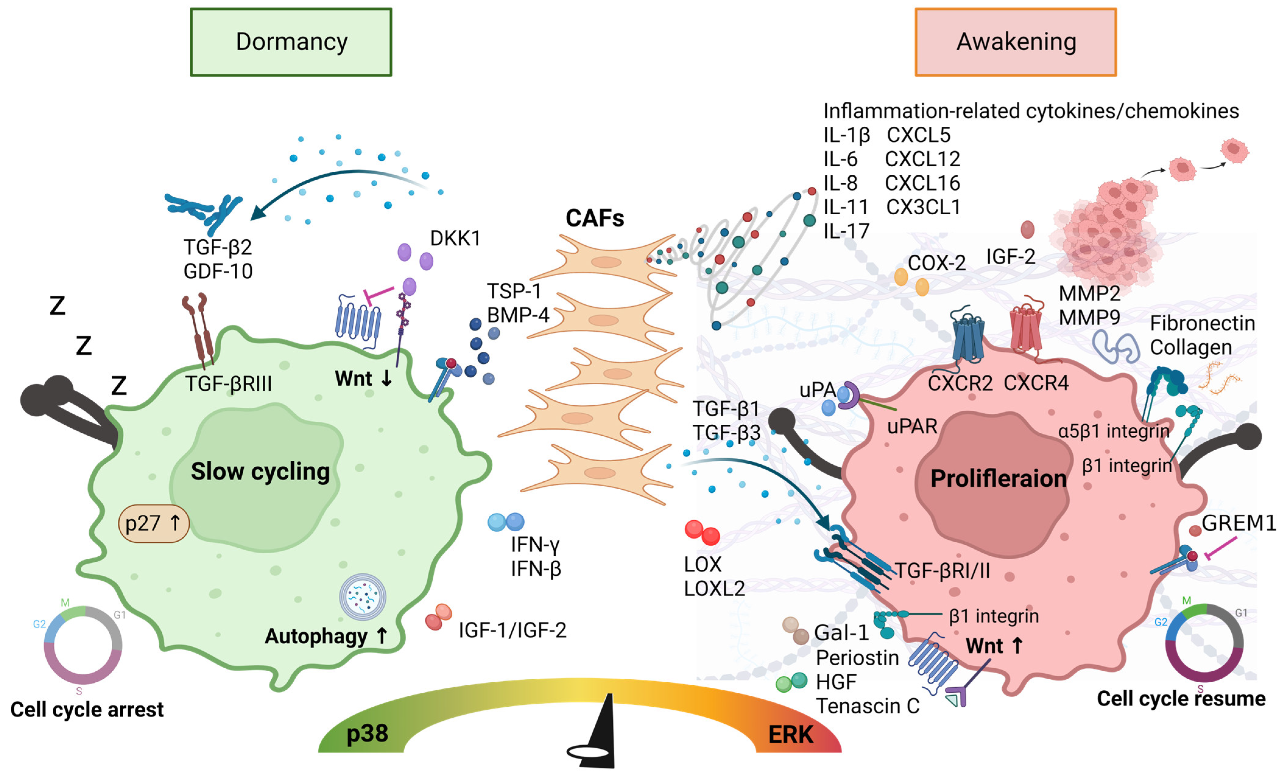 Cancers 15 02513 g002