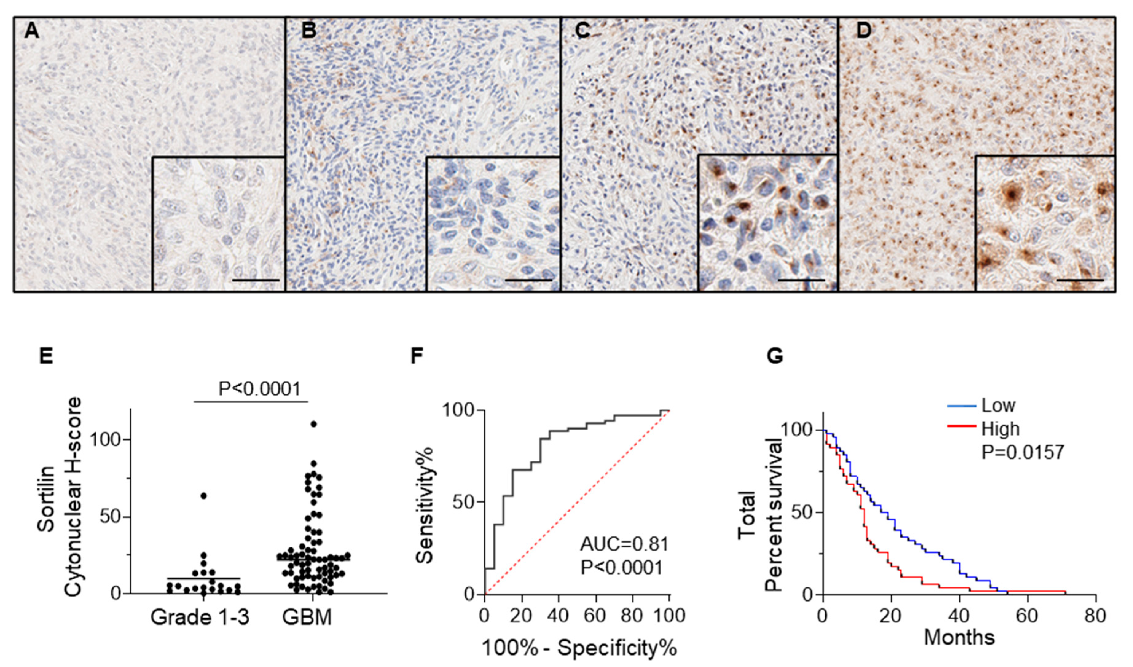 Cancers 15 02514 g002