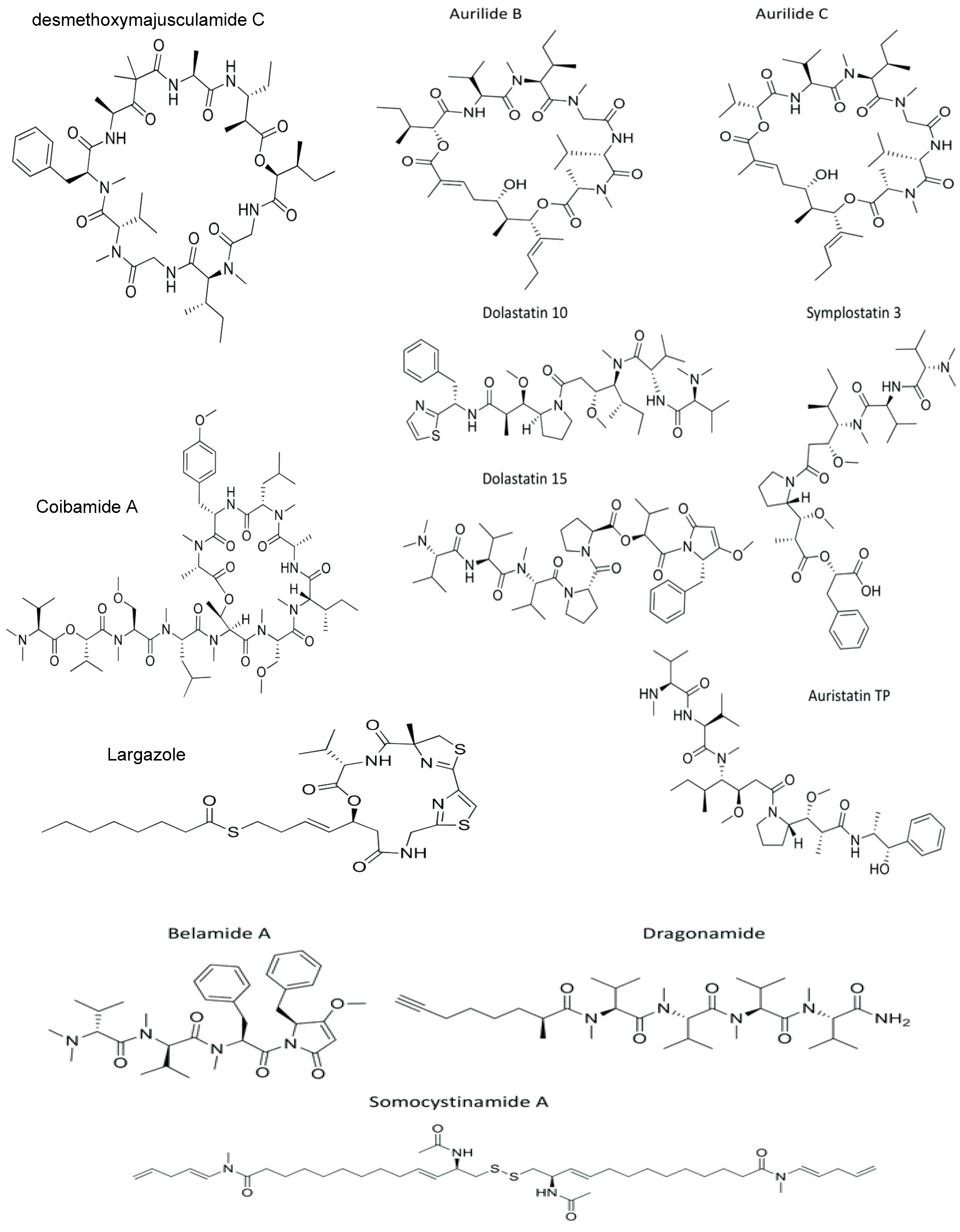 Cancers 15 02515 g002
