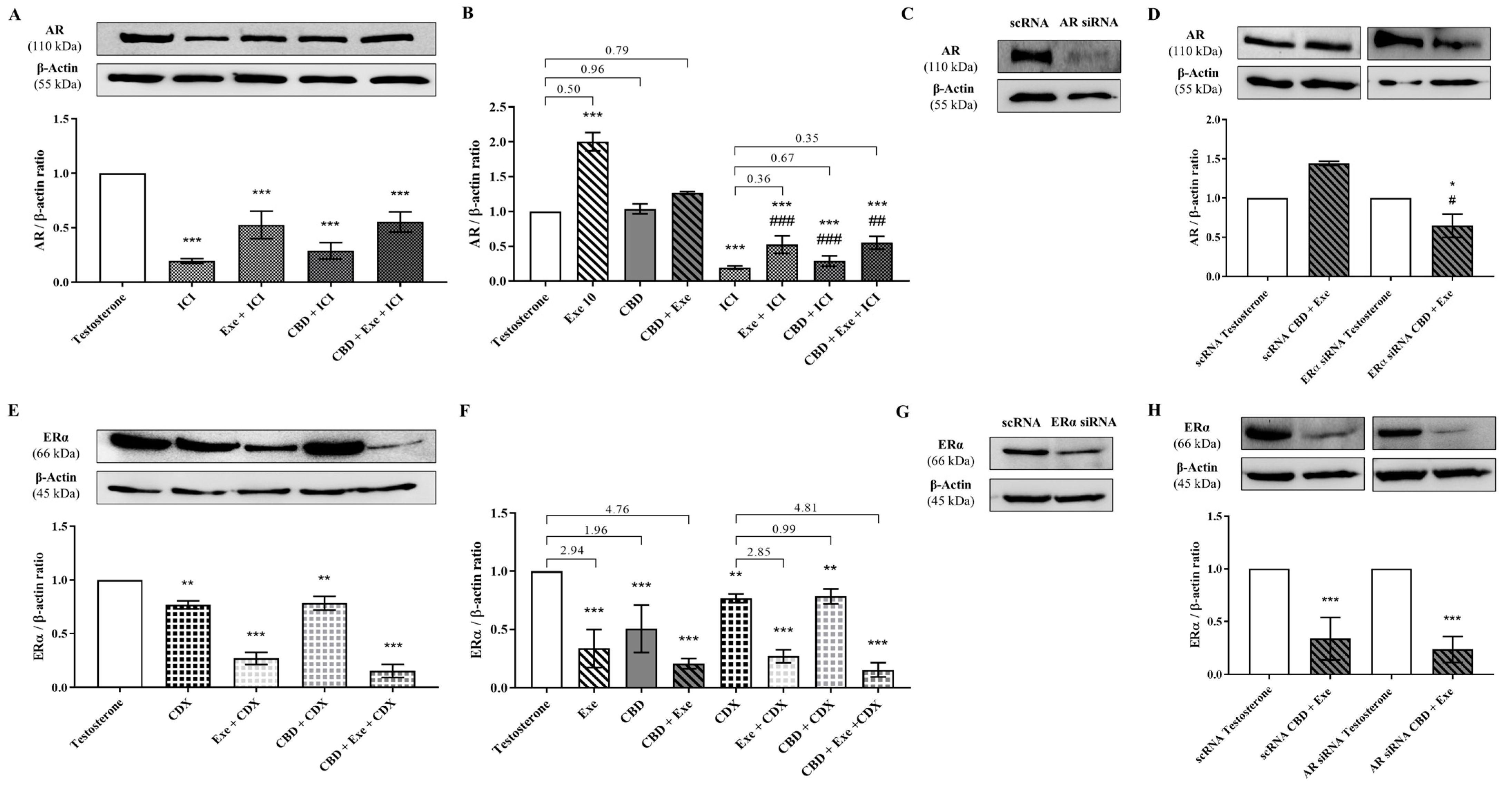 Cancers 15 02517 g006