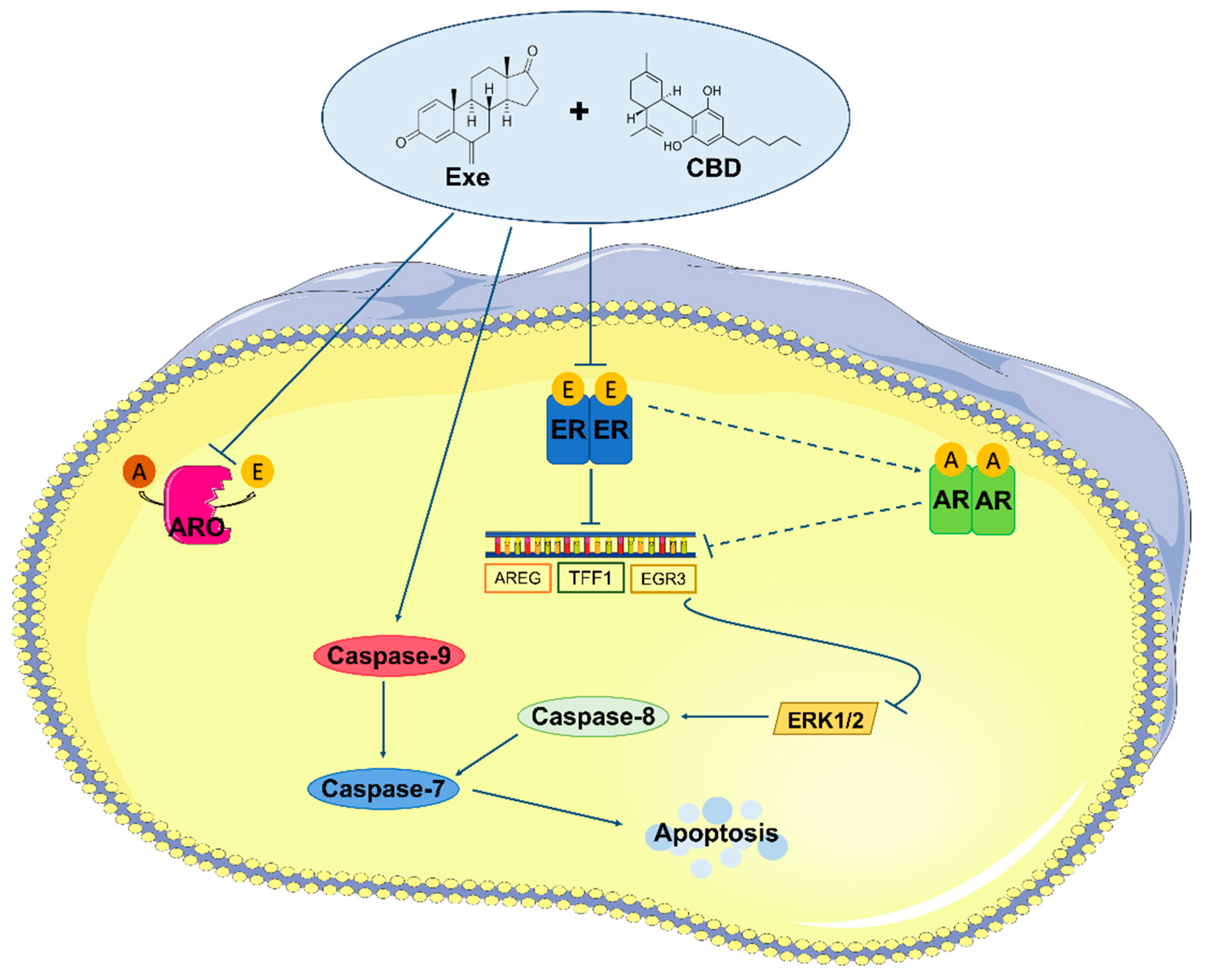 Cancers 15 02517 g009