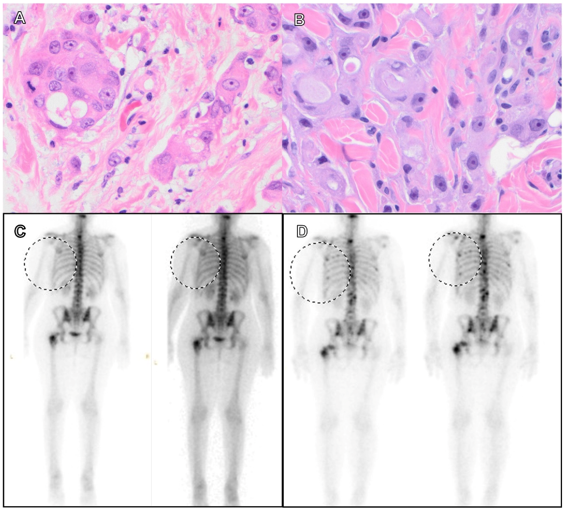 Cancers 15 02524 g005
