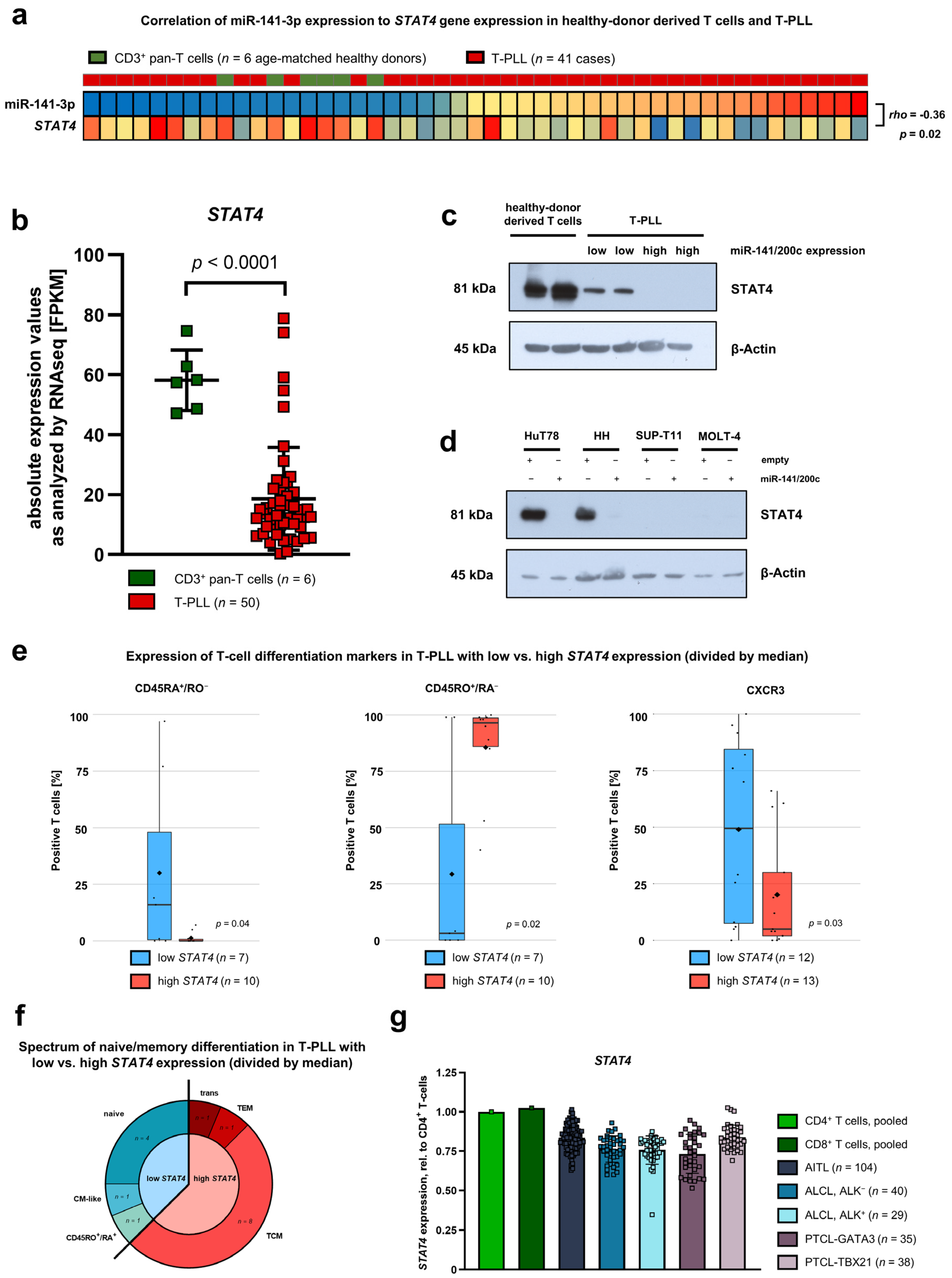Cancers 15 02527 g004 Cancers 15 02527 g004