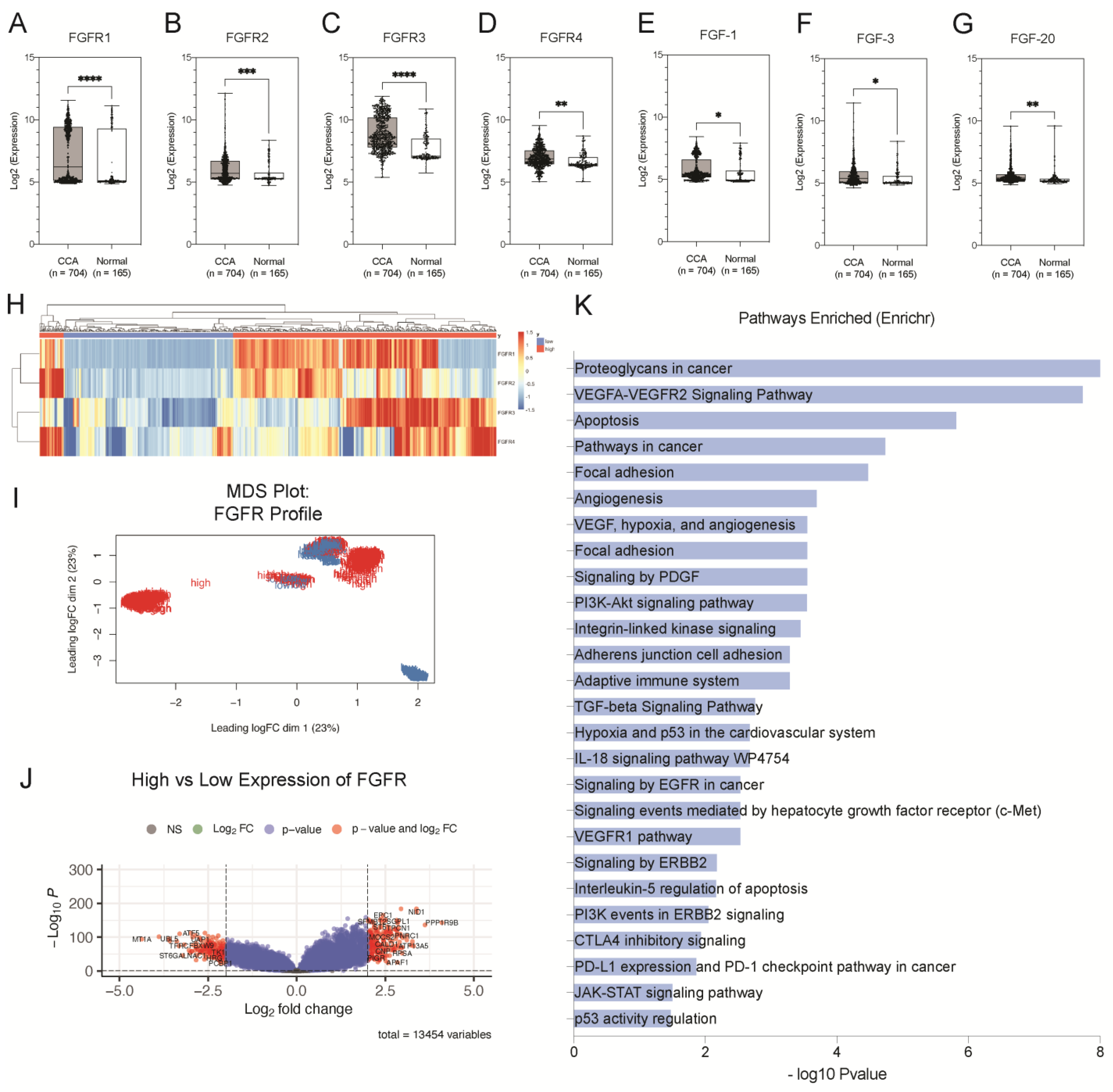 Cancers 15 02528 g001 Cancers 15 02528 g001
