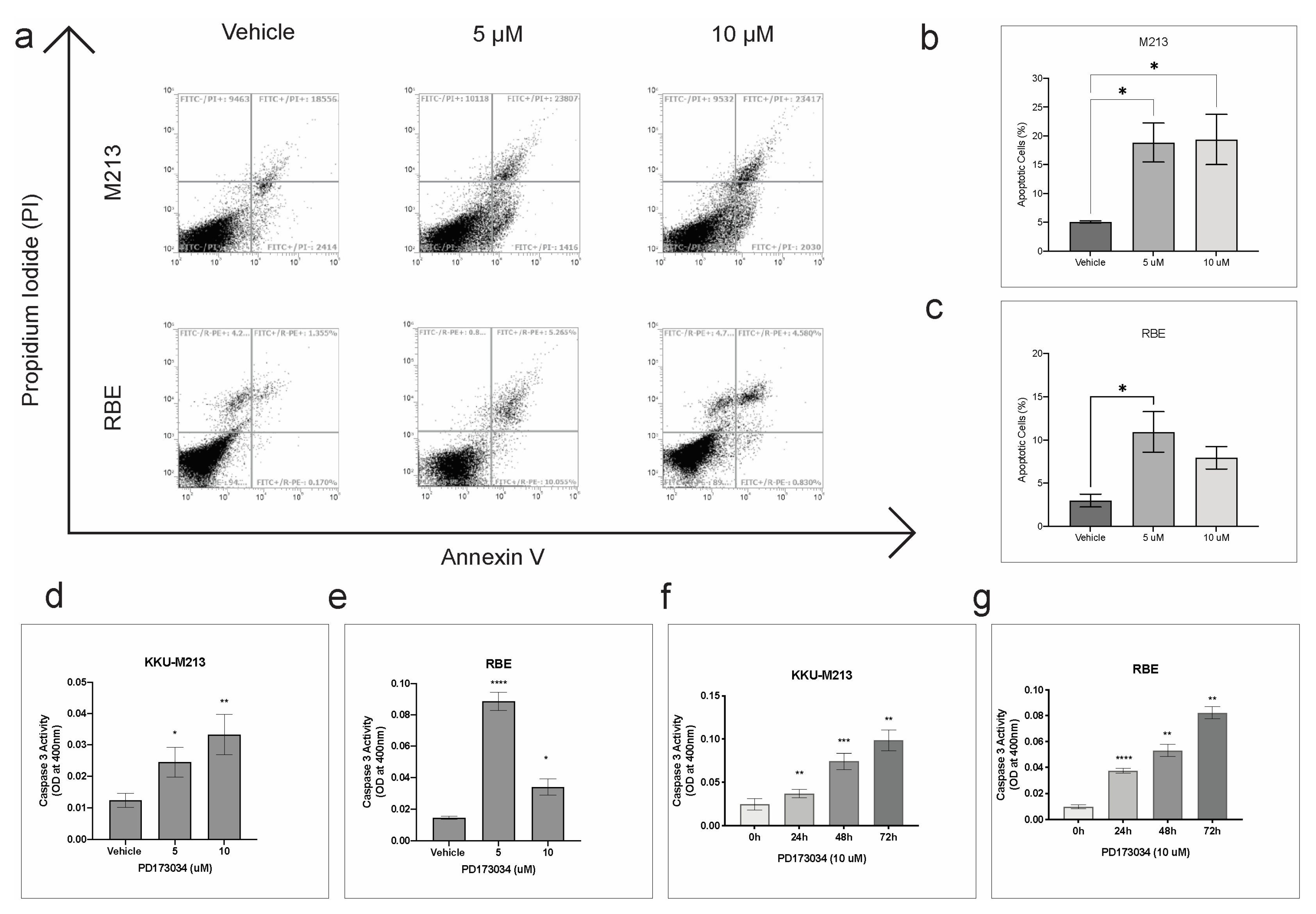 Cancers 15 02528 g004 Cancers 15 02528 g004