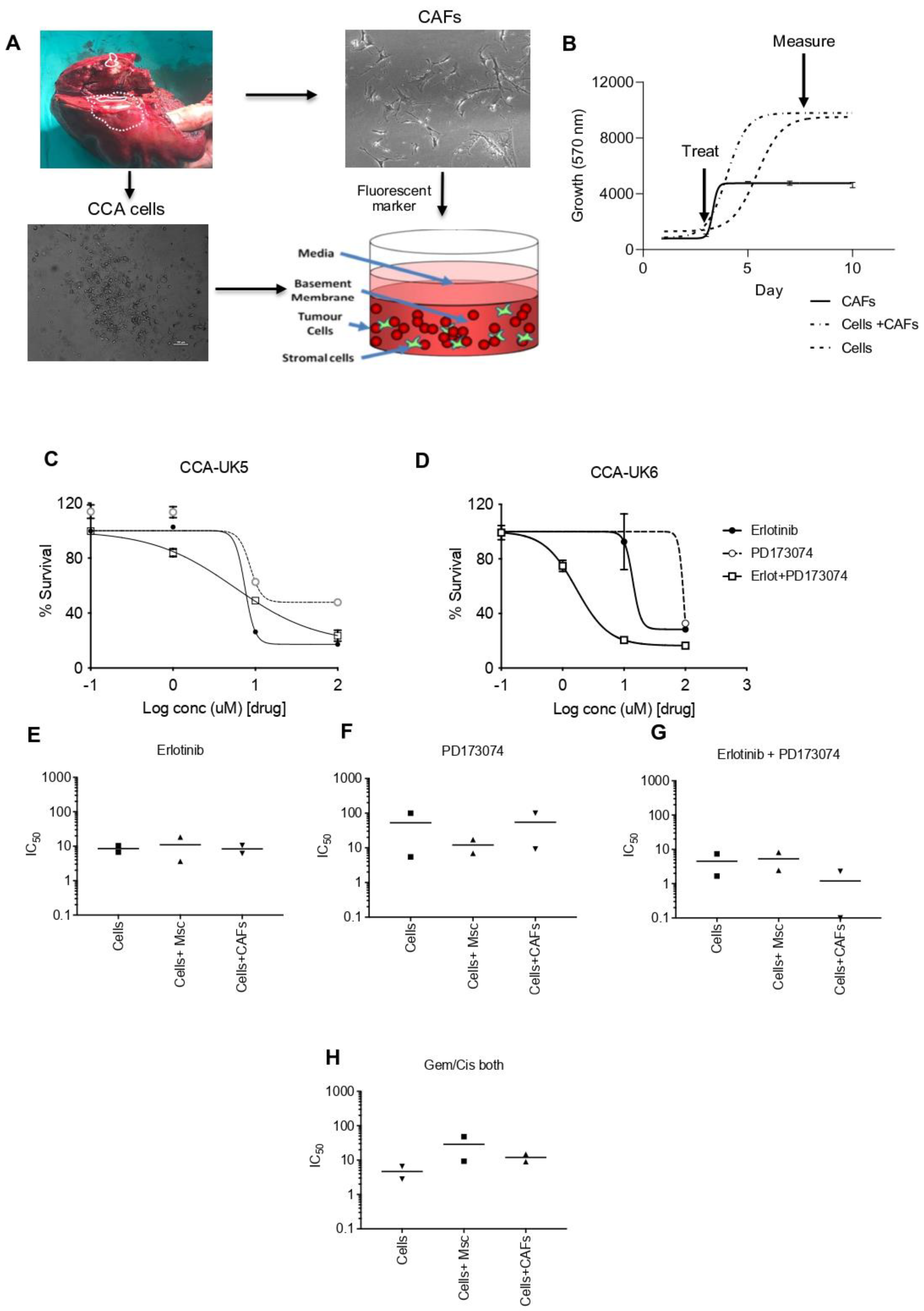 Cancers 15 02528 g007 Cancers 15 02528 g007