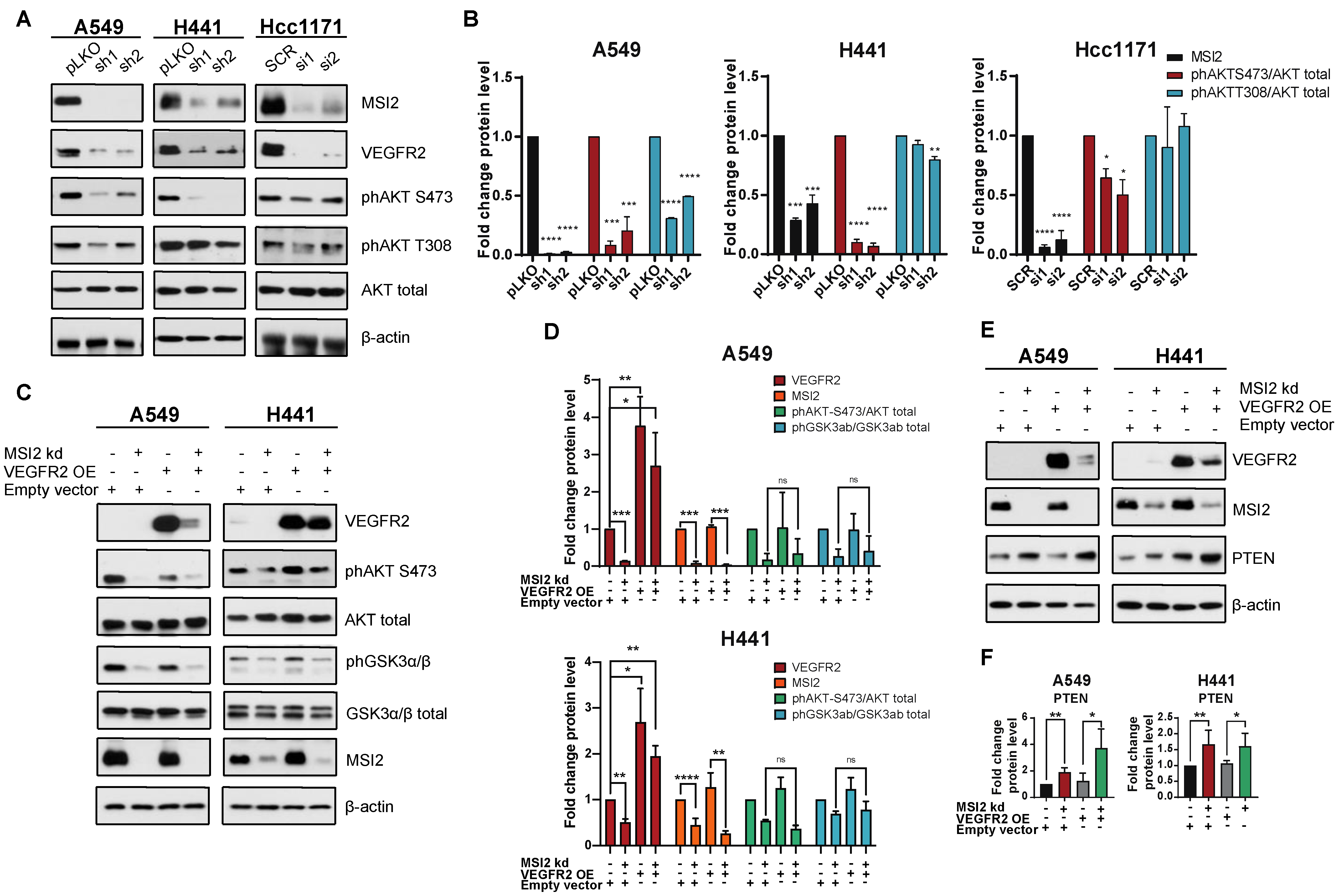 Cancers 15 02529 g003