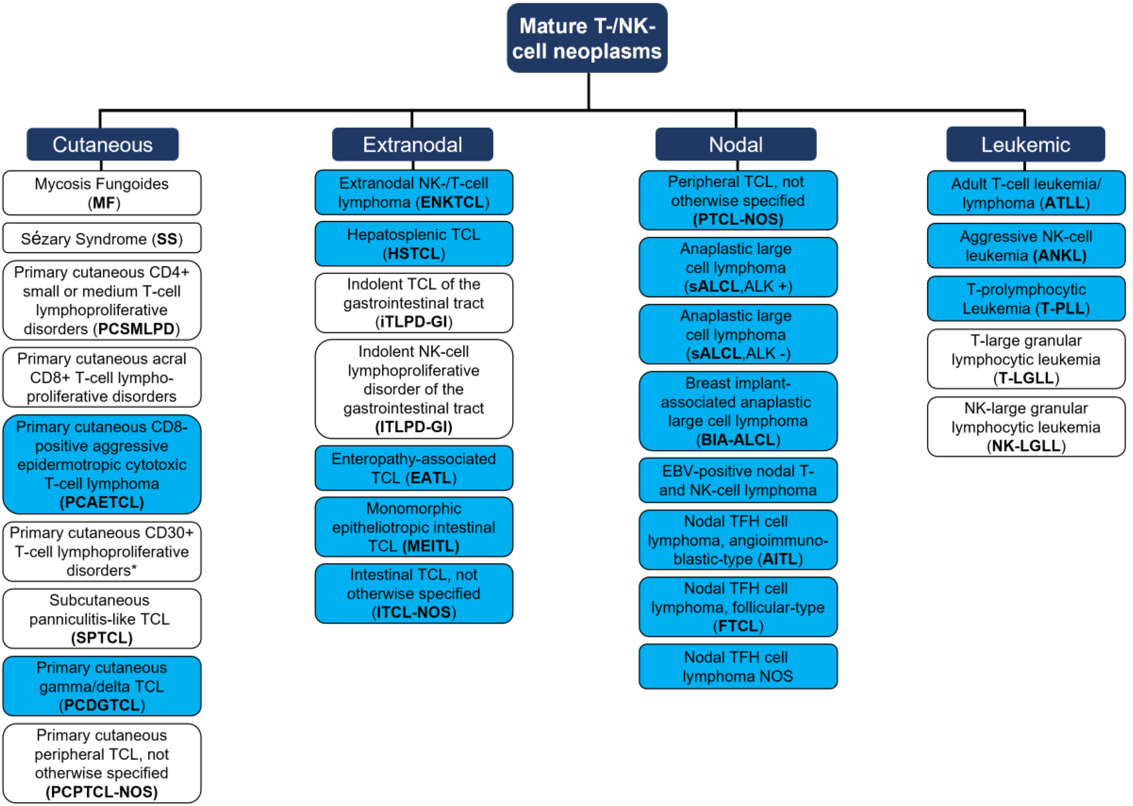 Cancers 15 02532 g001
