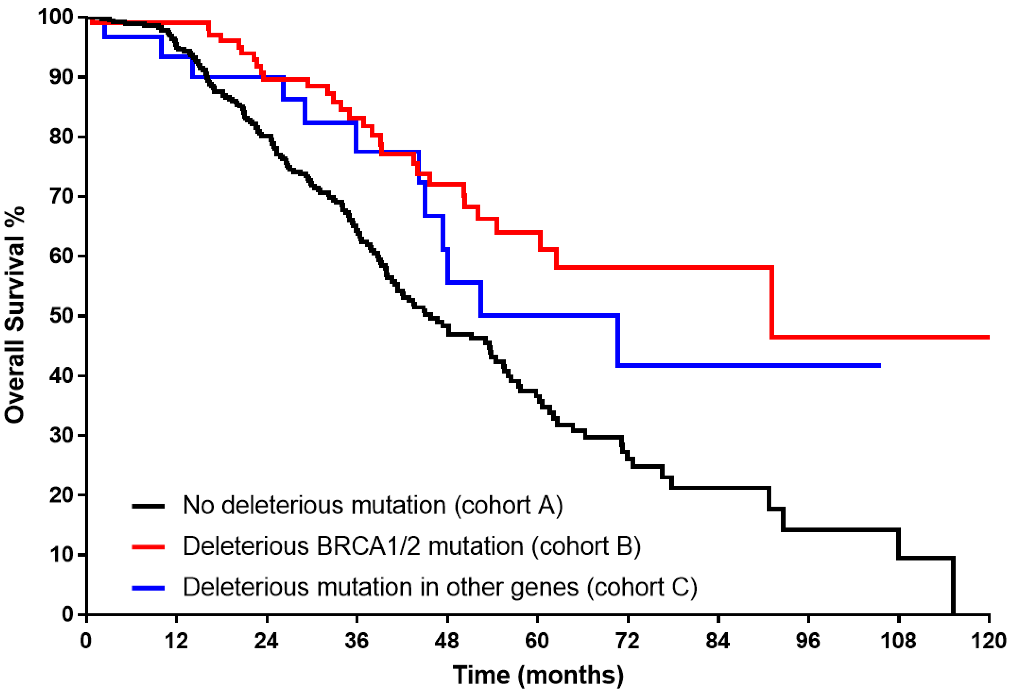 Cancers 15 02534 g001