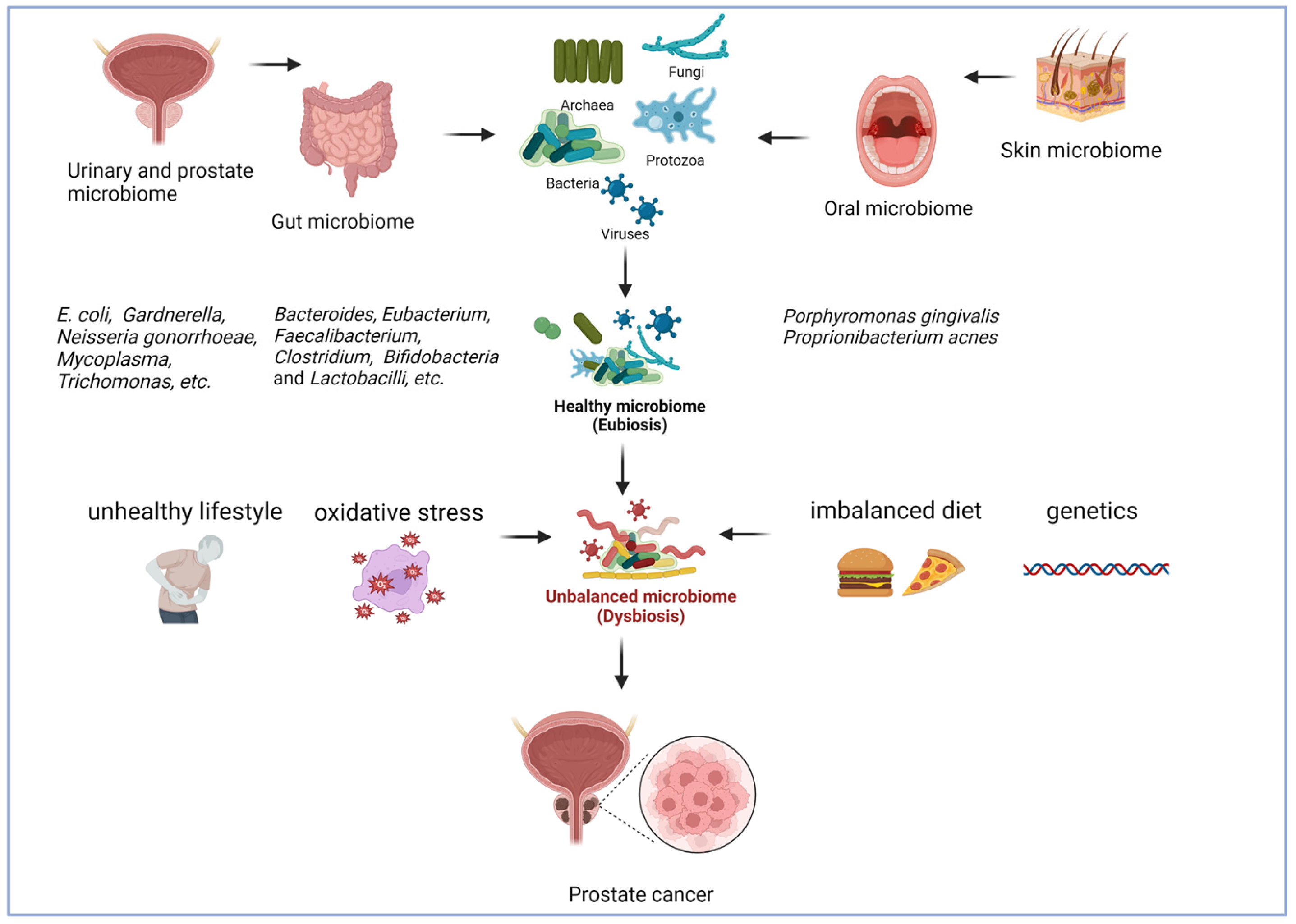 Cancers 15 02539 g001