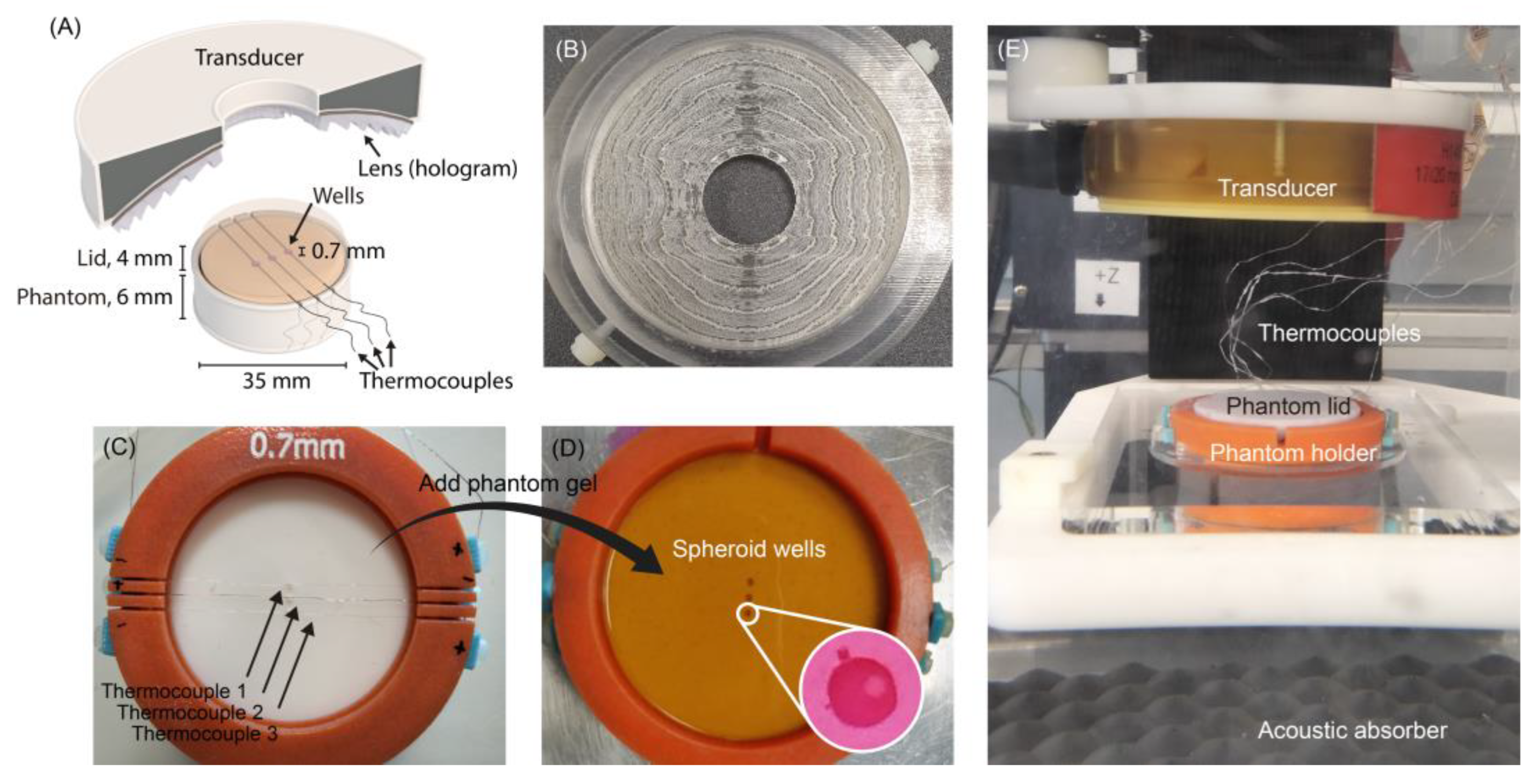 Cancers 15 02540 g002