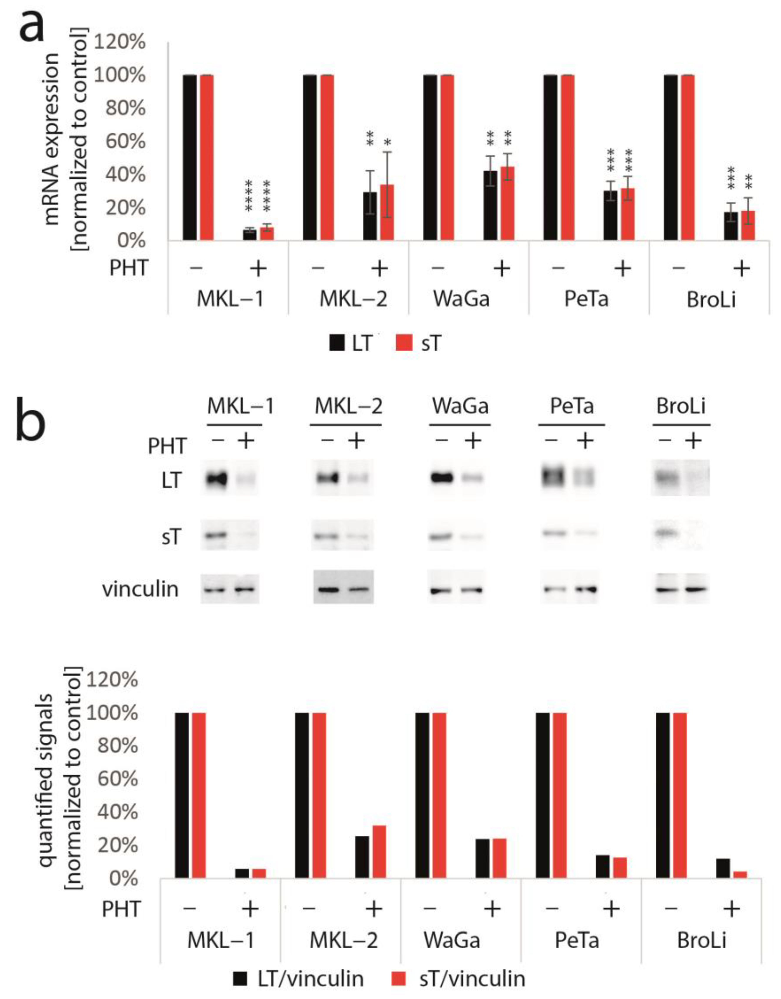 Cancers 15 02542 g002