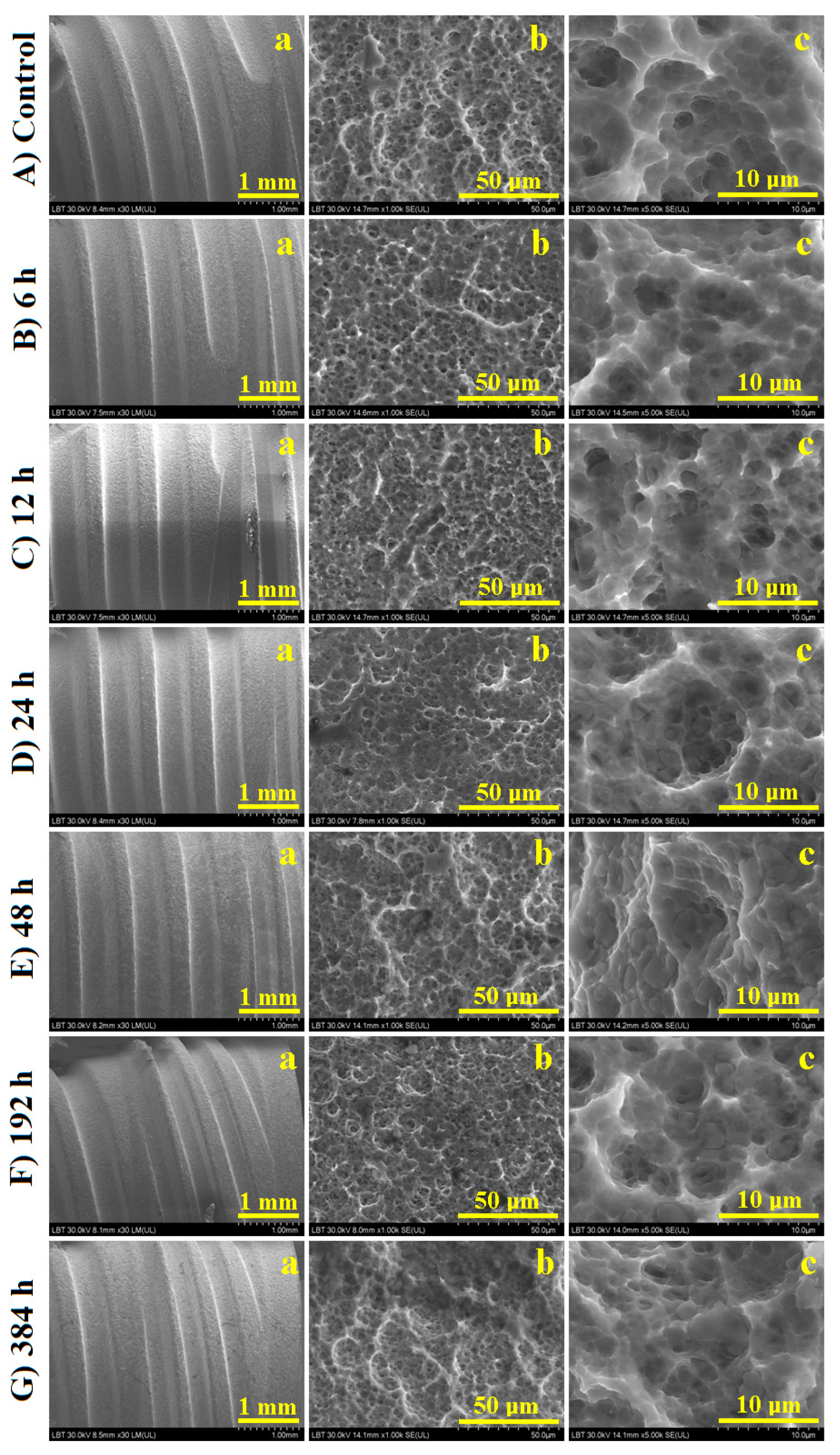 Cancers 15 02558 g001