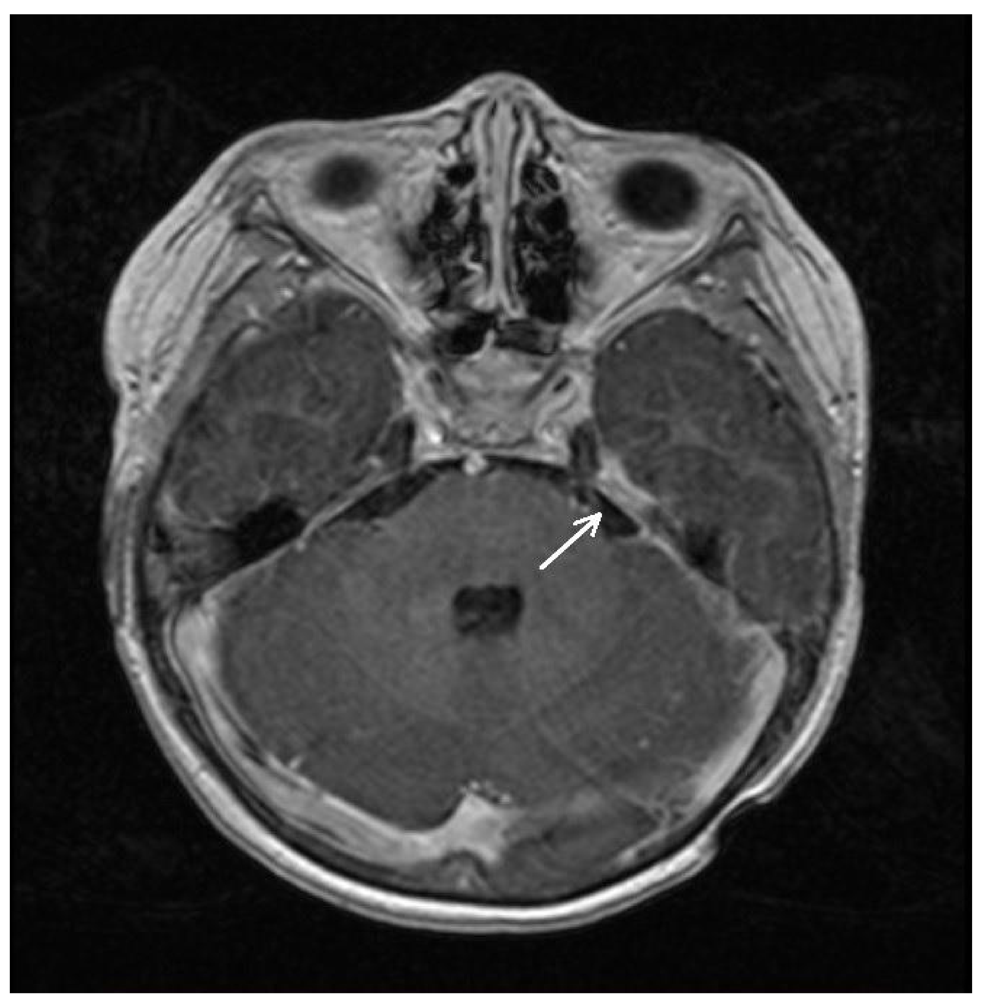 Cancers 15 02563 g002