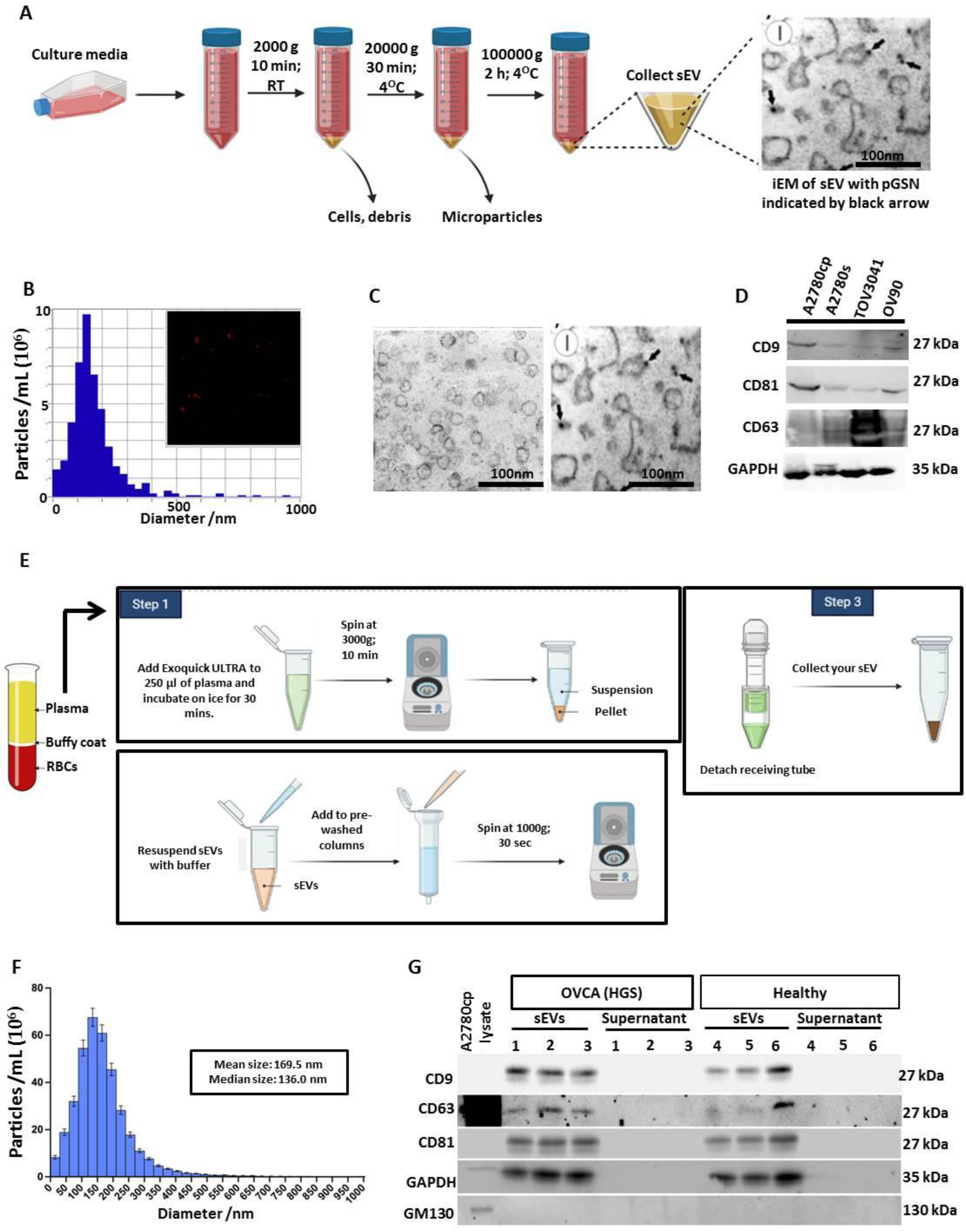 Cancers 15 02566 g001