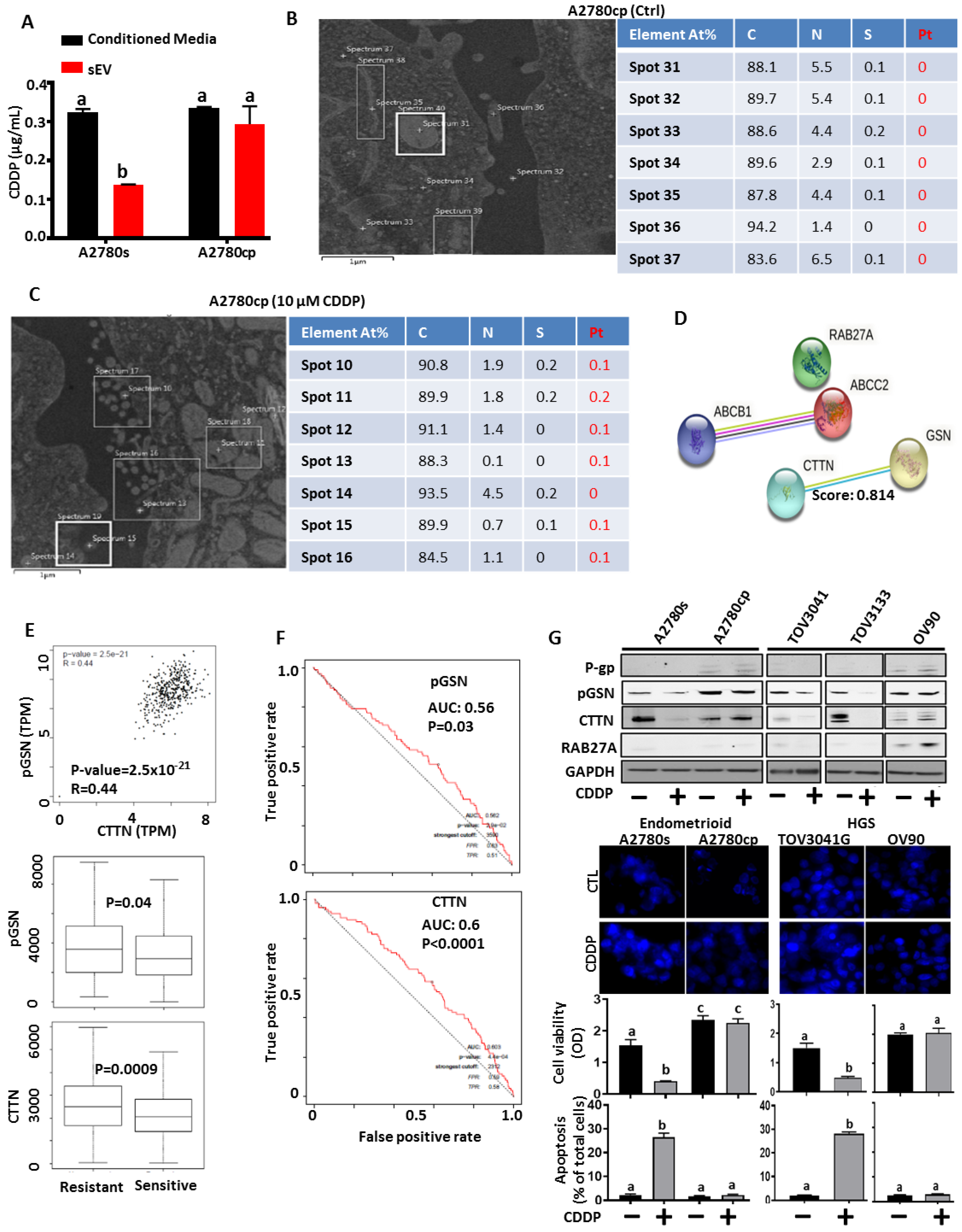 Cancers 15 02566 g002
