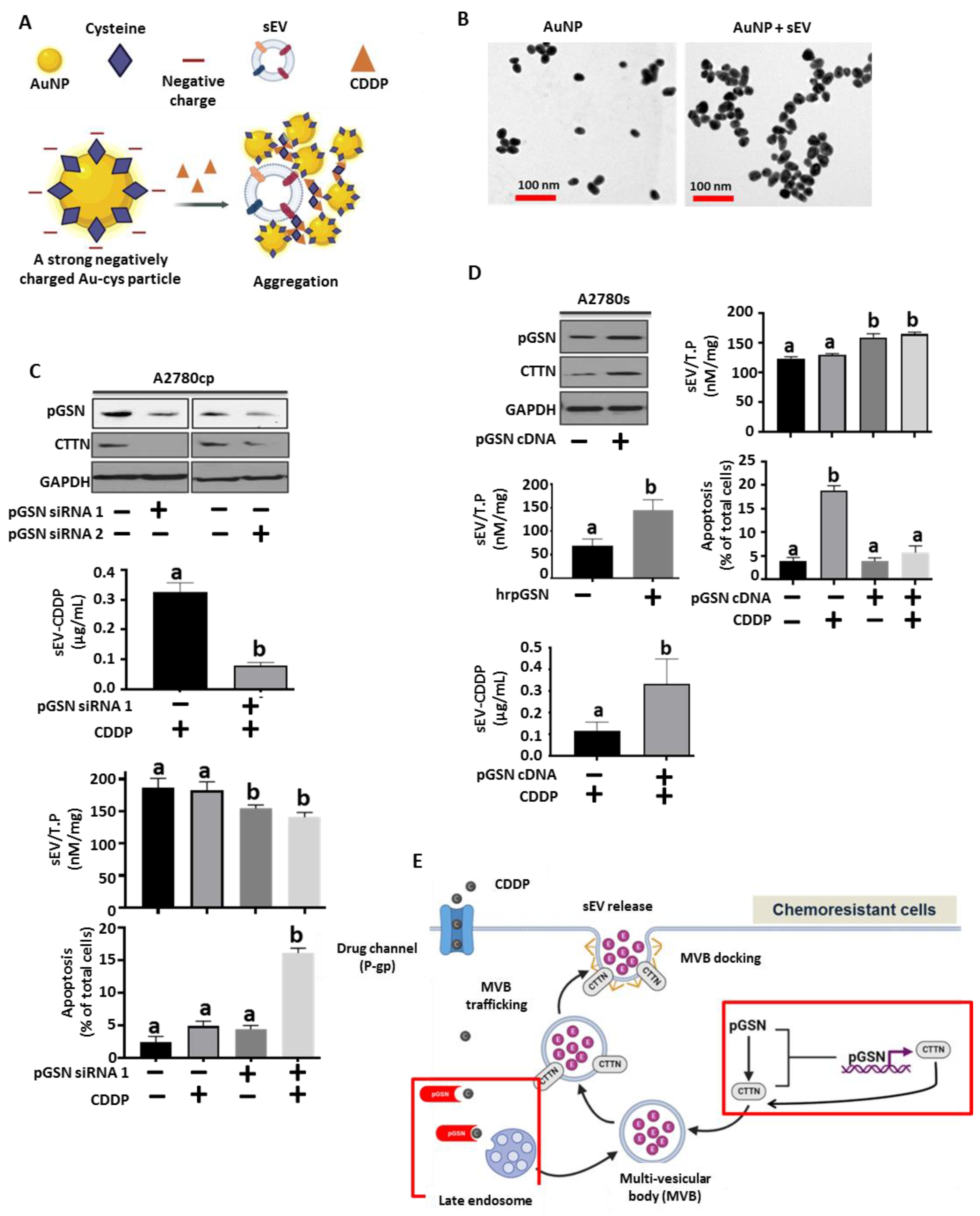 Cancers 15 02566 g003