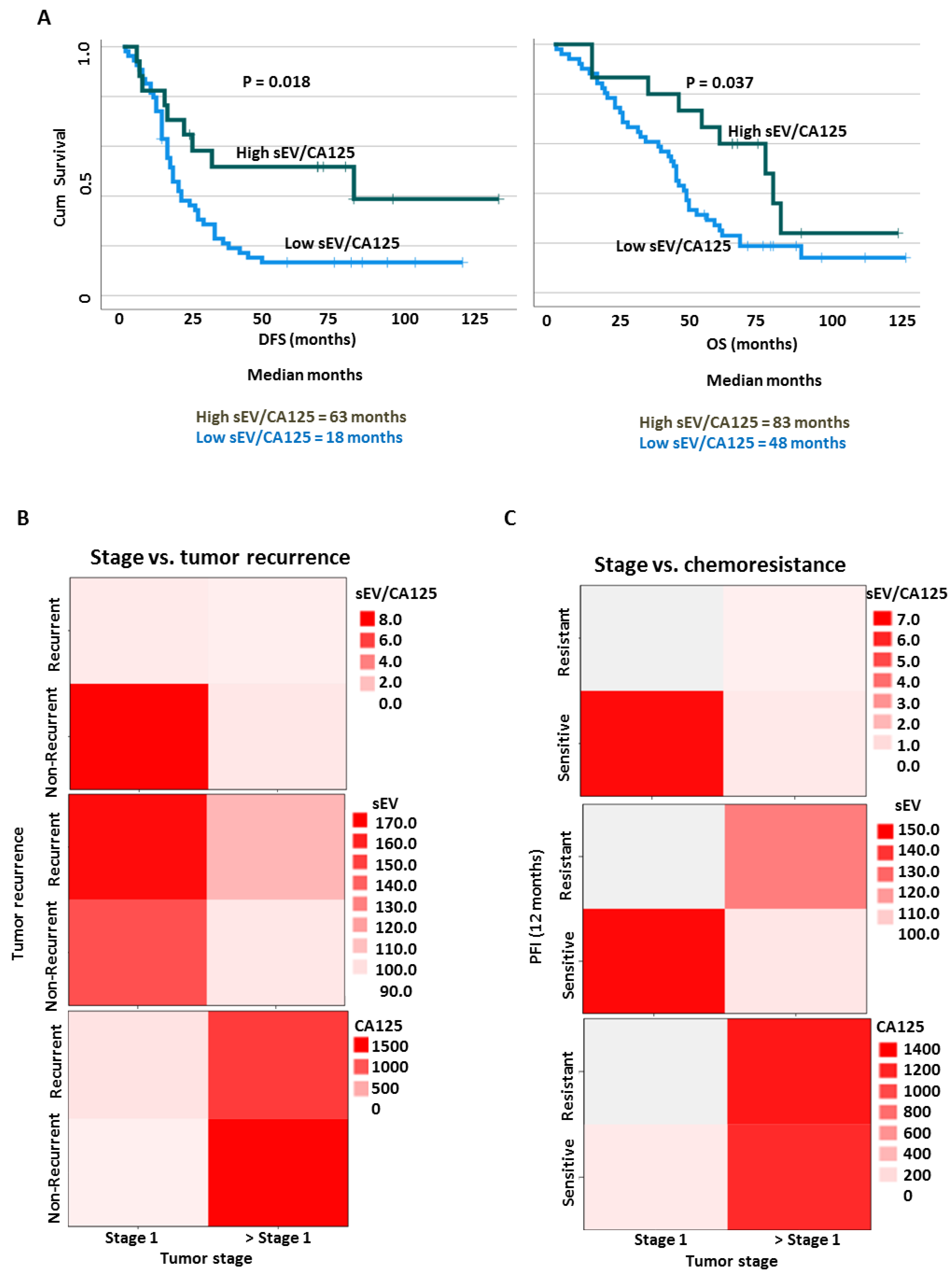 Cancers 15 02566 g006
