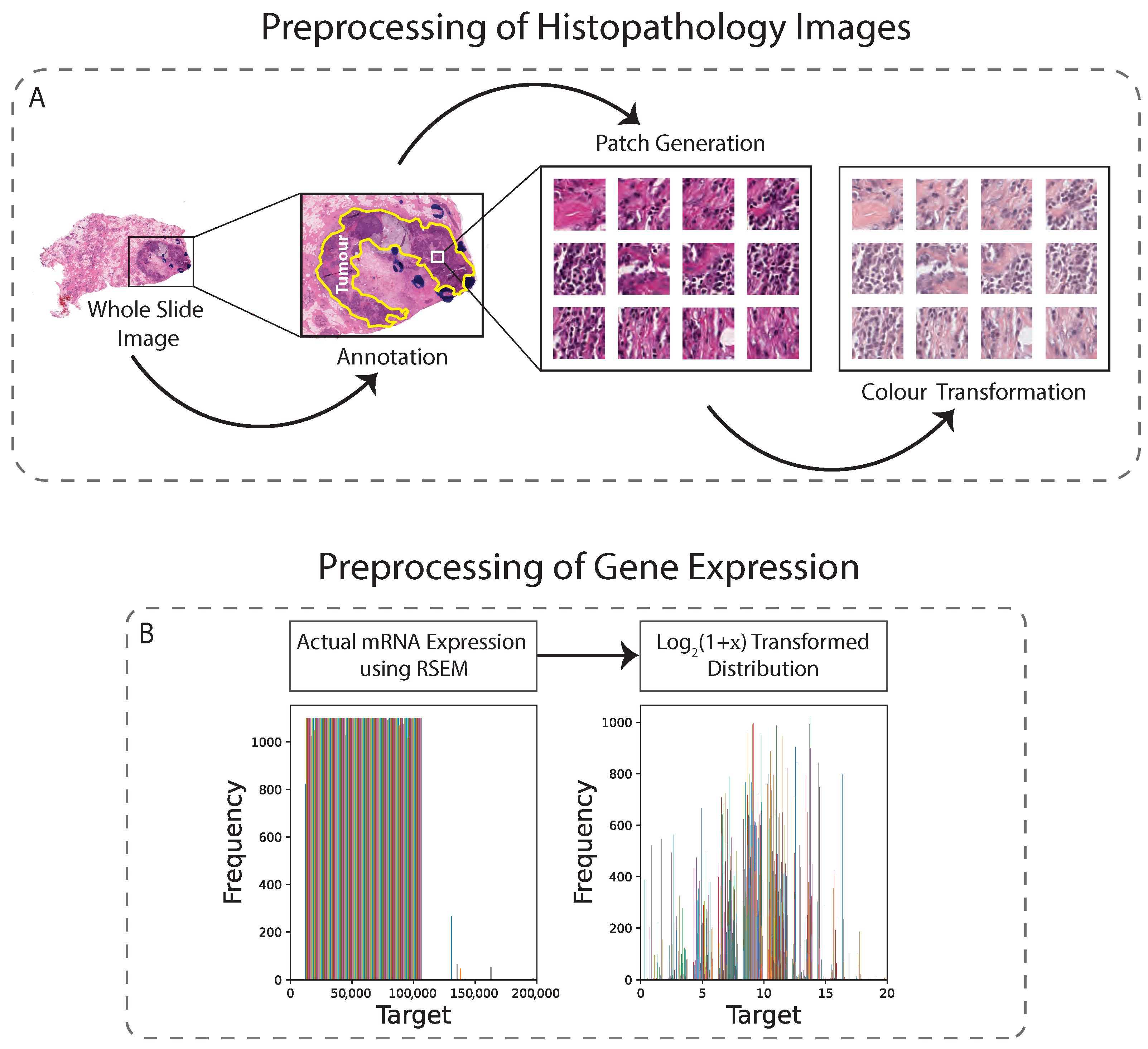Cancers 15 02569 g001 Cancers 15 02569 g001