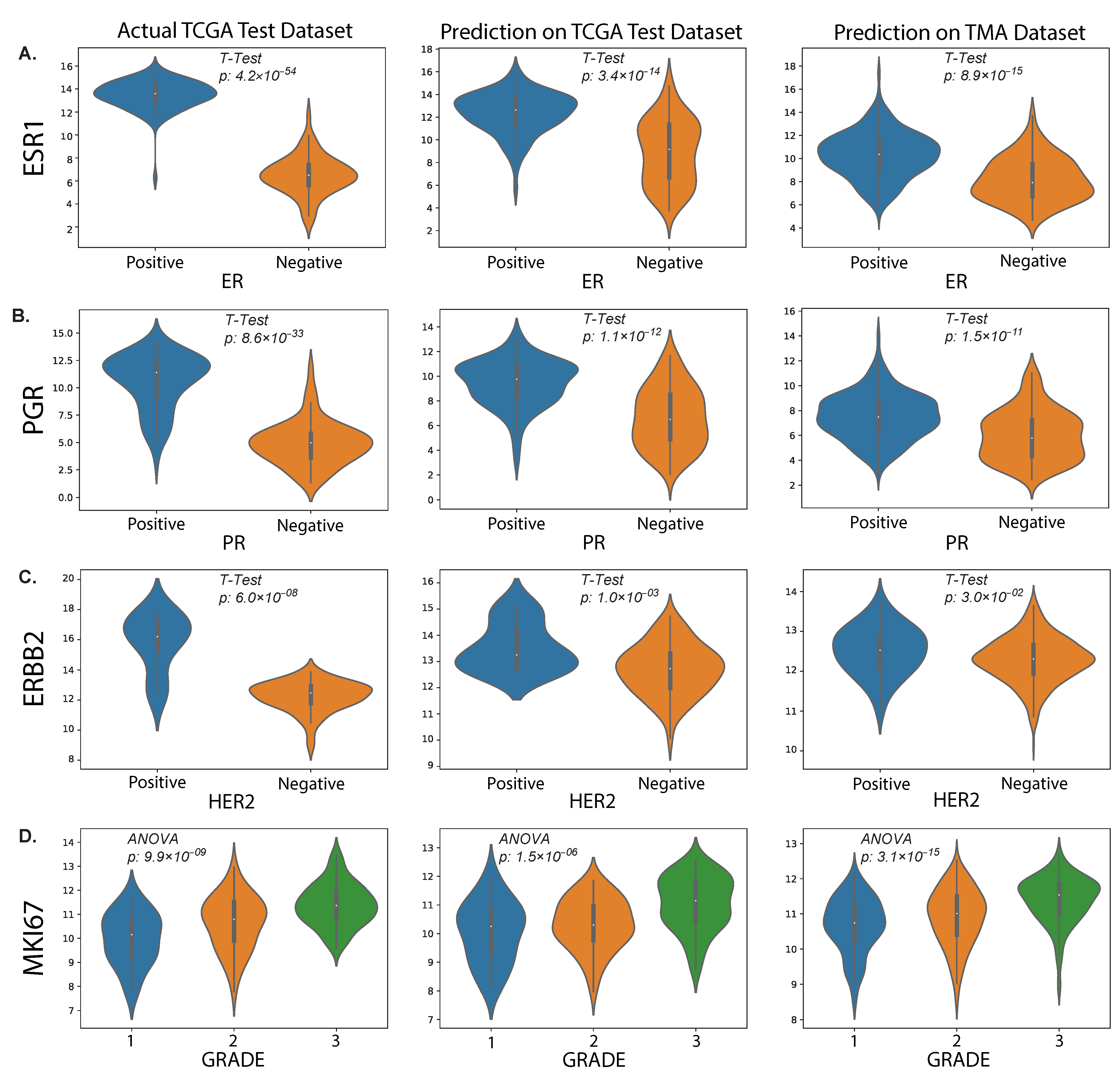 Cancers 15 02569 g007 Cancers 15 02569 g007