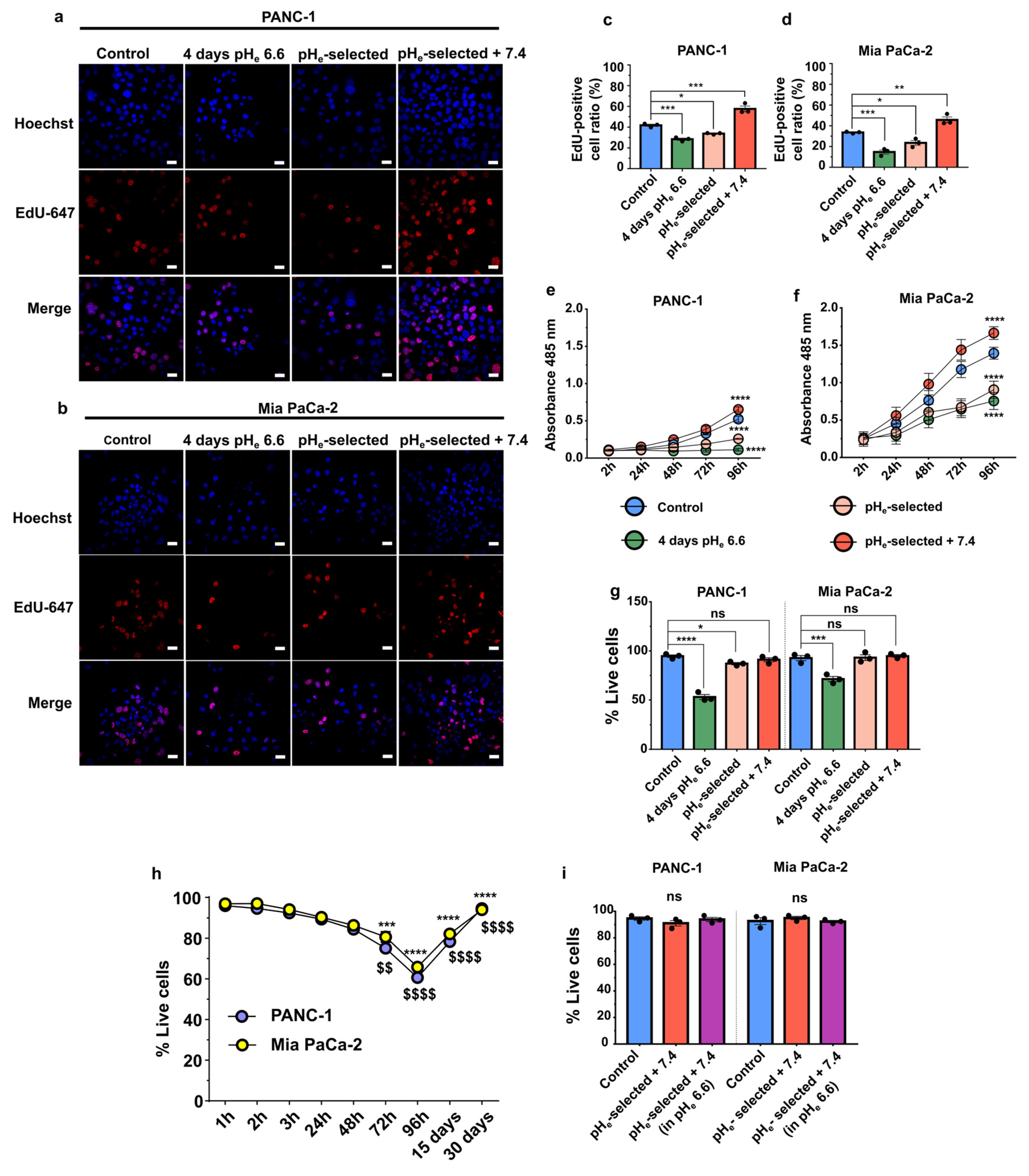 Cancers 15 02572 g002