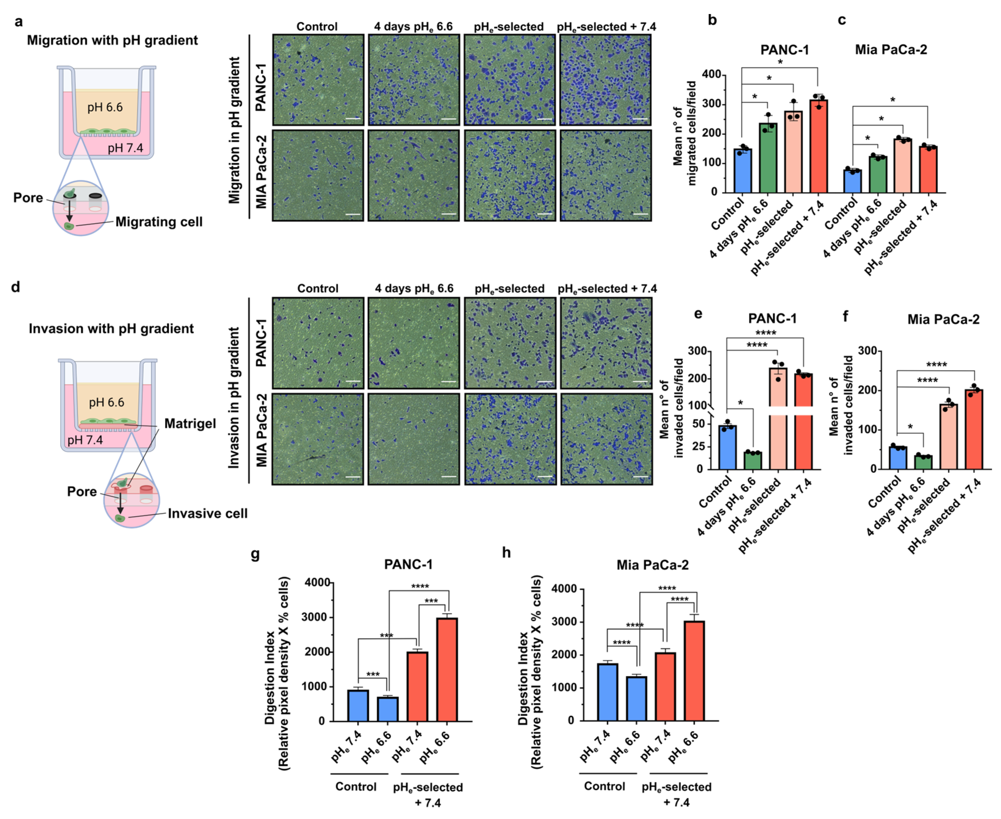 Cancers 15 02572 g004